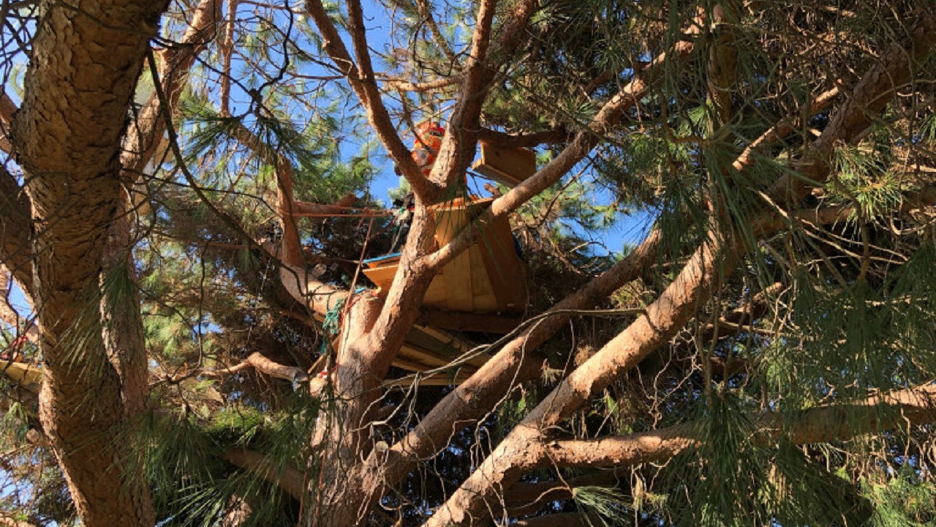 Authorities believe the tri-level tree house, equipped with an aquarium and ocean views, belonged to a homeless person.