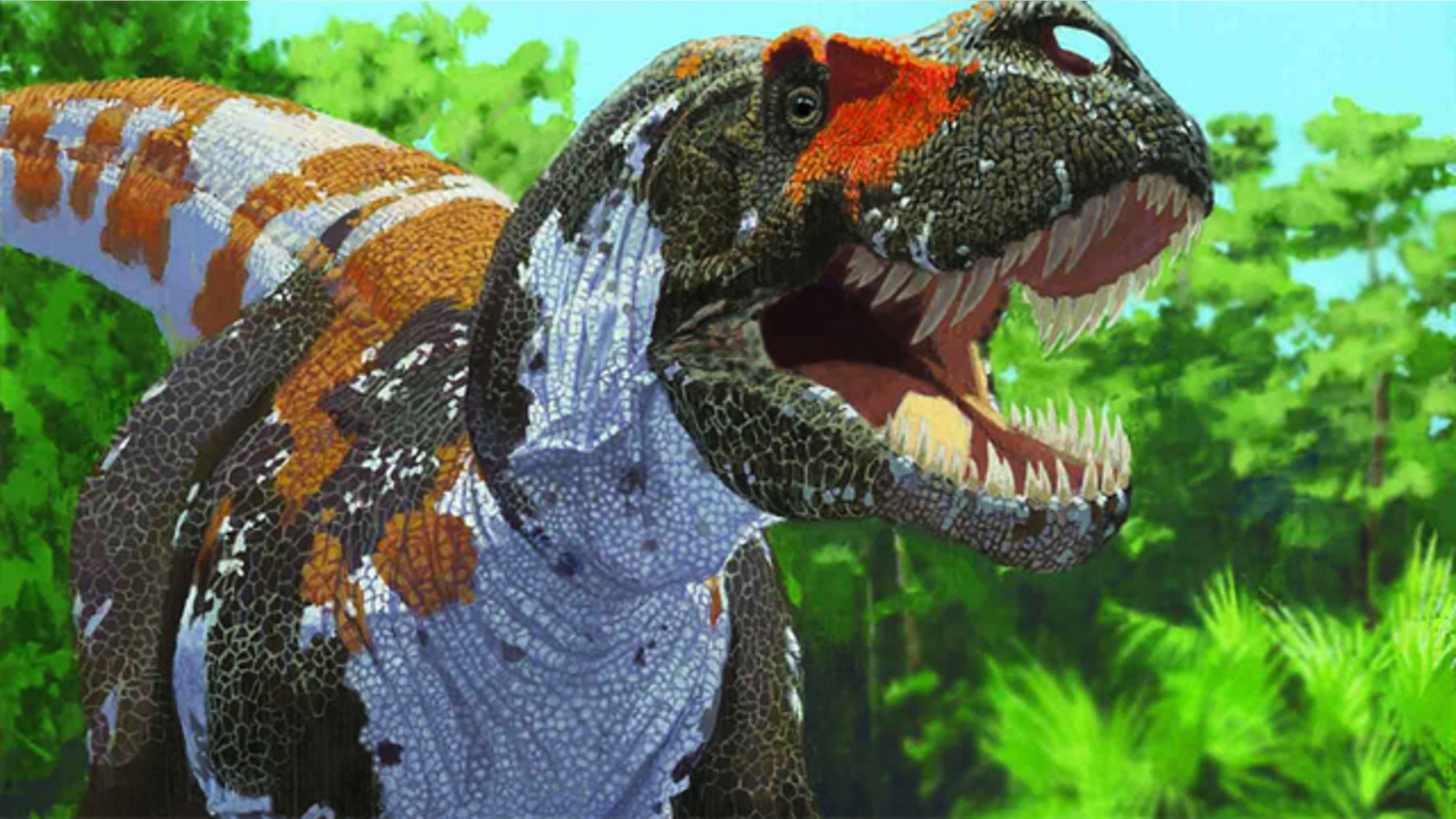 Tyrannosaurus rex is part of the carnivorous groups of dinosaurs that, according to new research, maintained a stable level of biodiversity leading up to the mass extinction at the end of the Cretaceous.