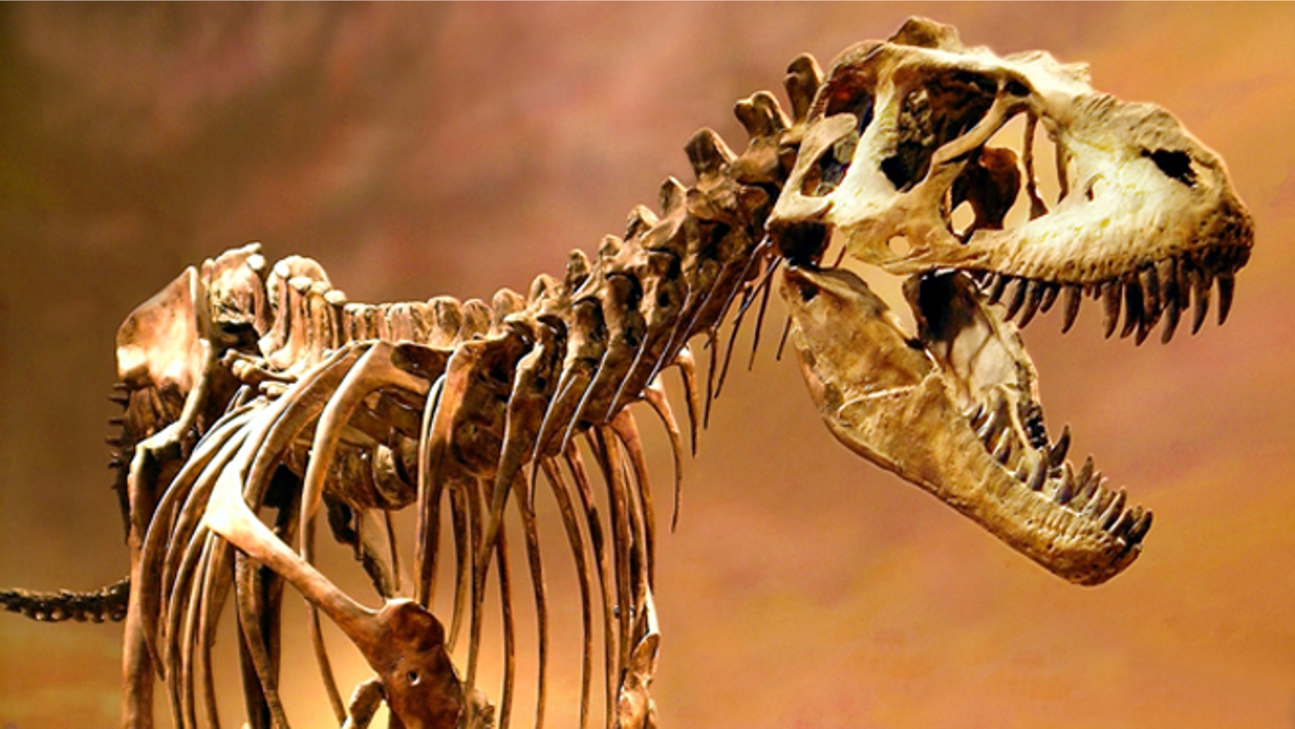 Did eggs prove to be the ultimate dino downfall?