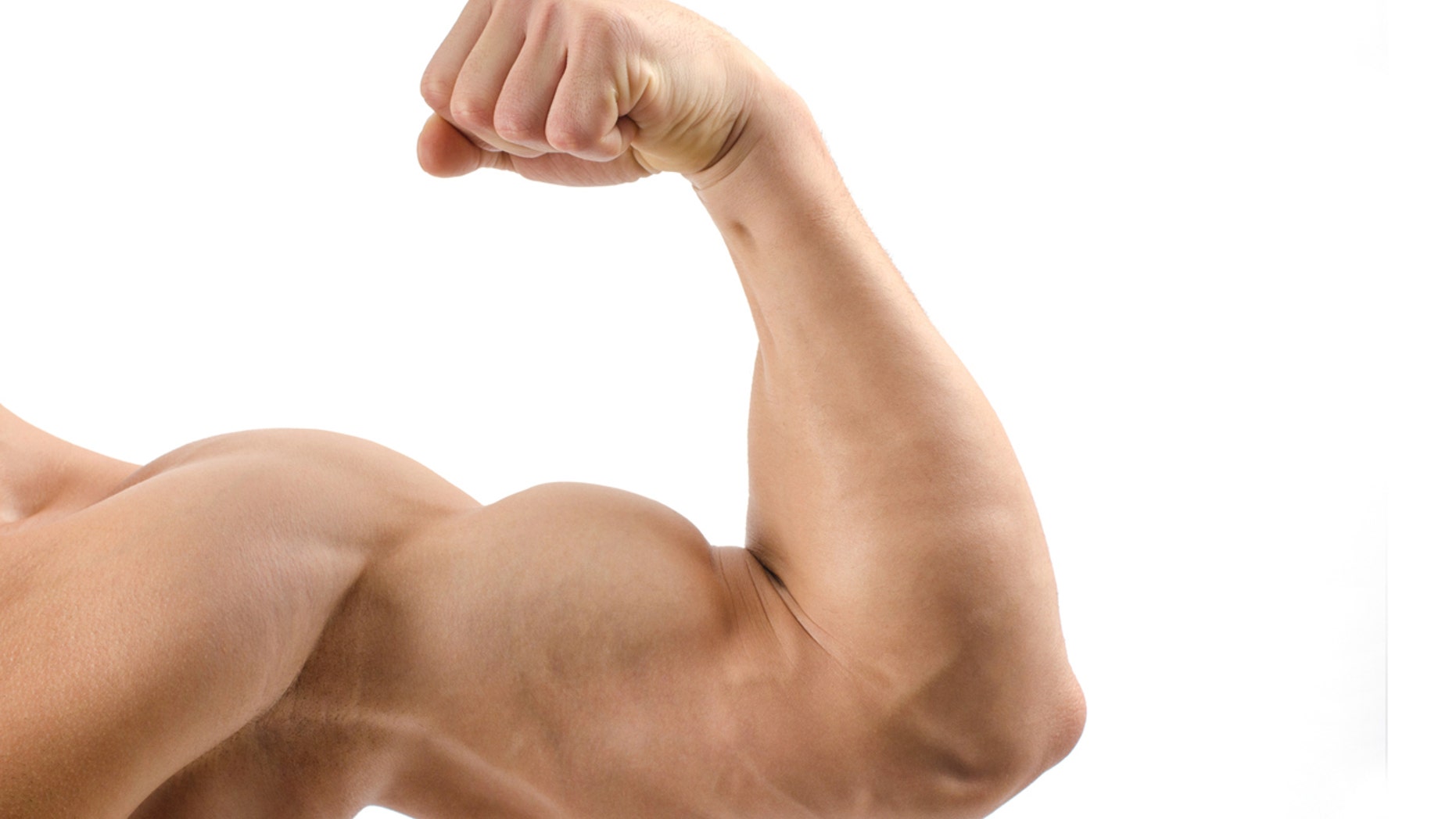 Close up on a bodybuilder biceps,shoulder,arm isolated on white background