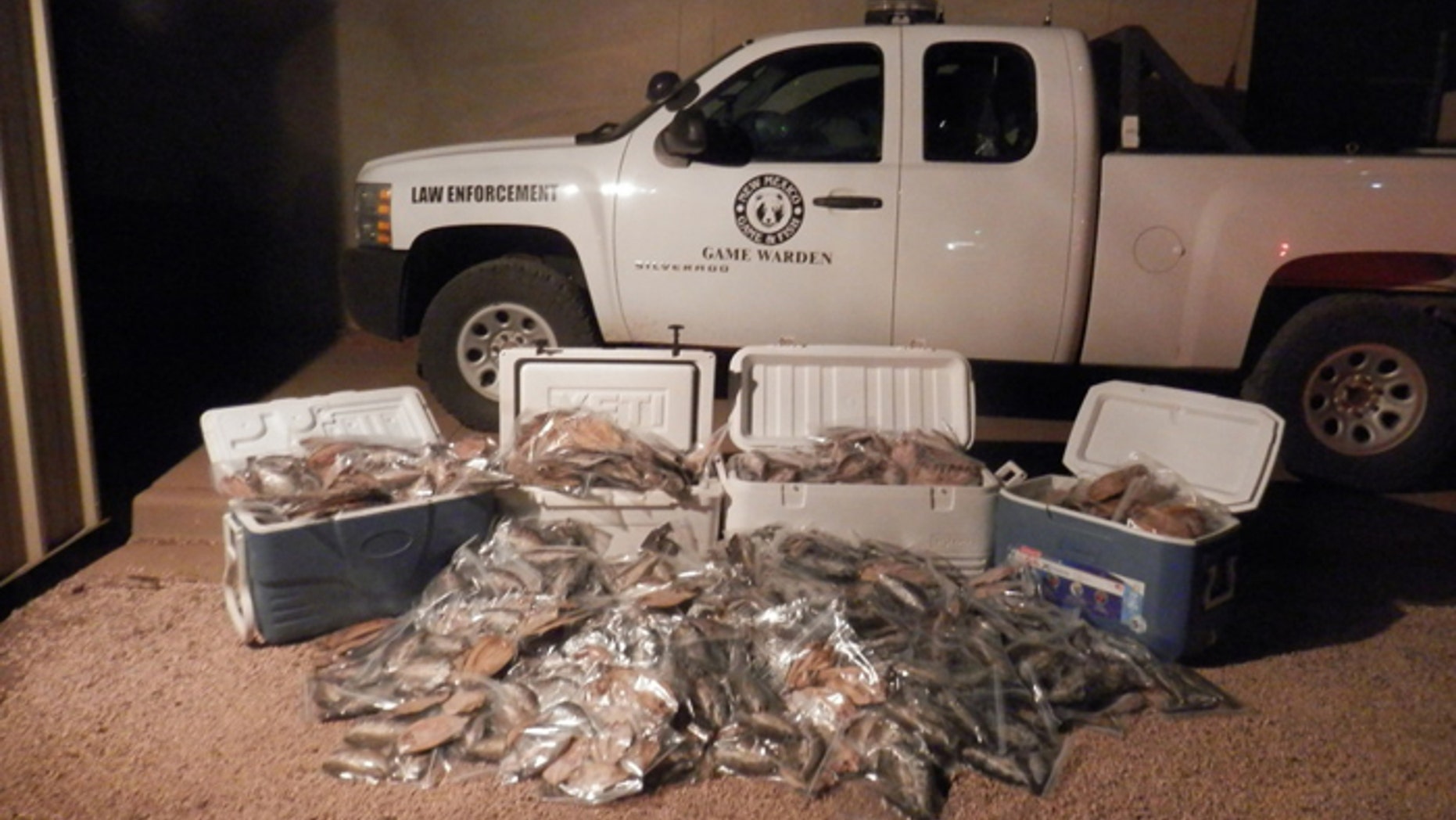 A Clovis, N.M. was nabbed with more than 160 times the legal limit of rainbow trout, caught at a stocked lake. (Courtesy: New Mexico Department of Game and Fish)