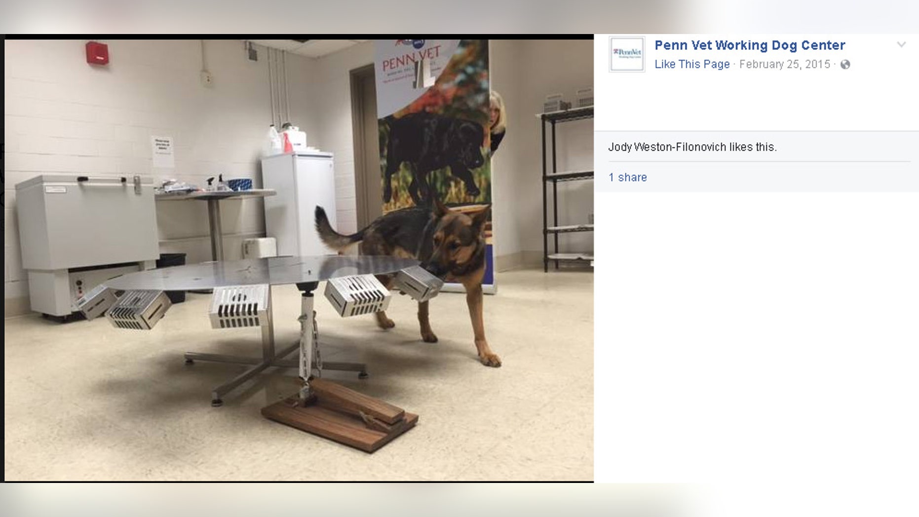 (Facebook/Penn Vet Working Dog Center)
