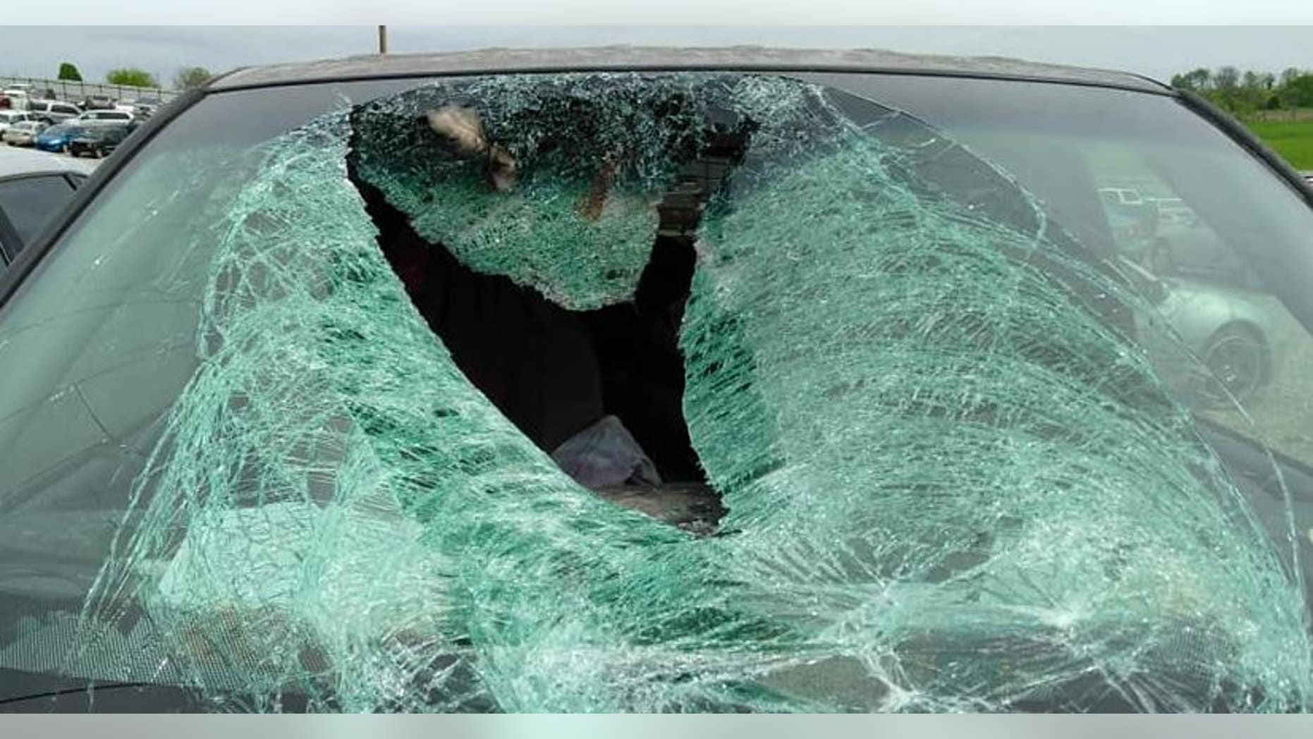 A wild turkey crashed into the windshield of a car traveling along Highway 60 to Springfield, Mo.