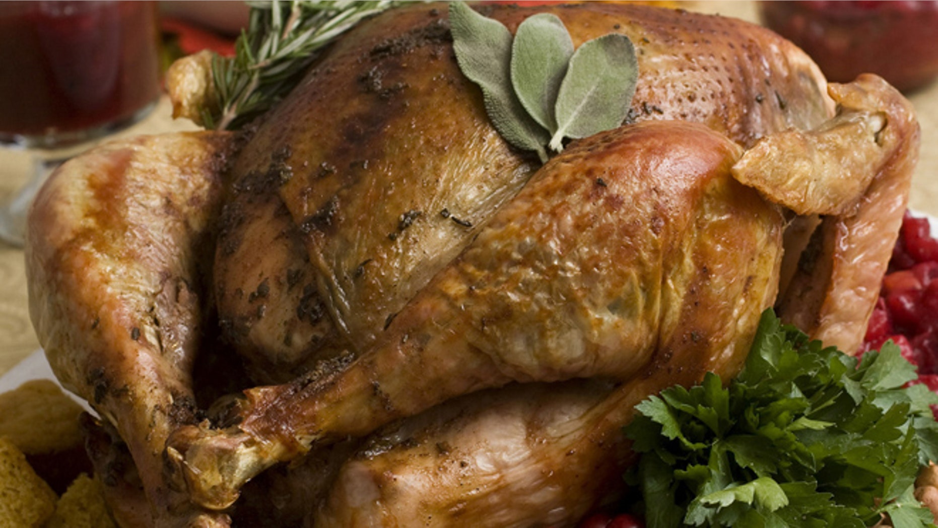 This Nov. 2, 2009 file photo shows a Thanksgiving turkey. The average Turkey Day dinner will cost $49.04, or just 44 cents less in 2013 than it did in 2012. (AP Photo/Larry Crowe)