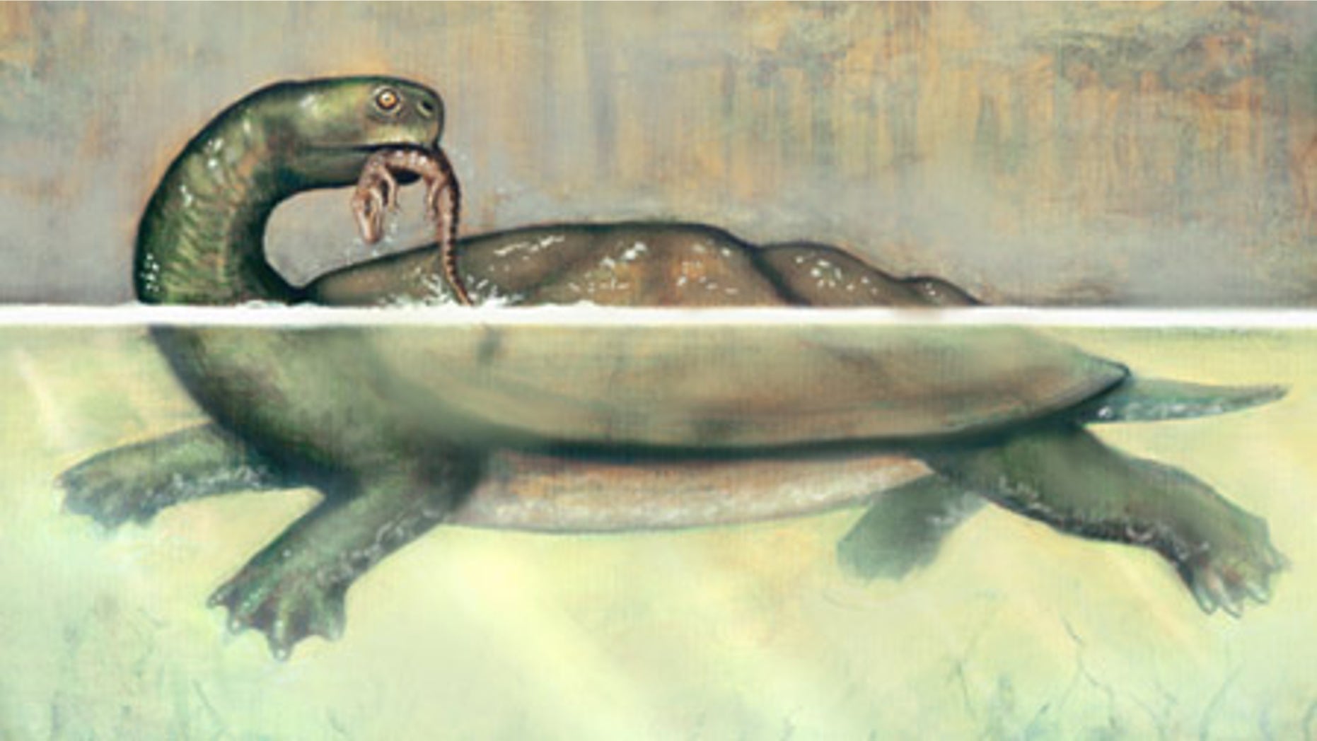 Reconstruction of Carbonemys preying upon a small crocodylomorph. Artwork by Liz Bradford