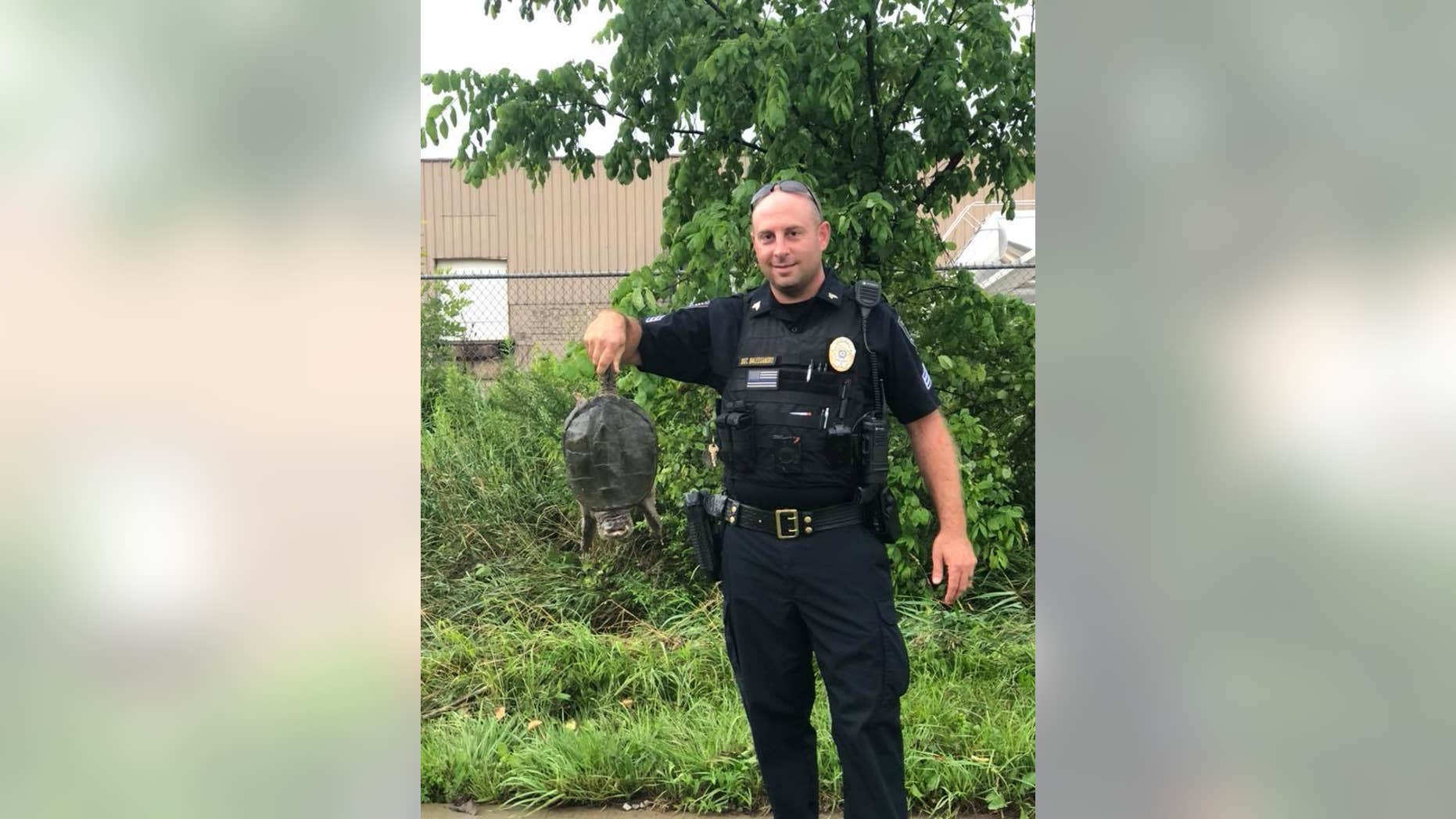 Police in Orrville, Ohio, rescued a turtle stuck in a drain that contributed to some intense flooding following a storm.
