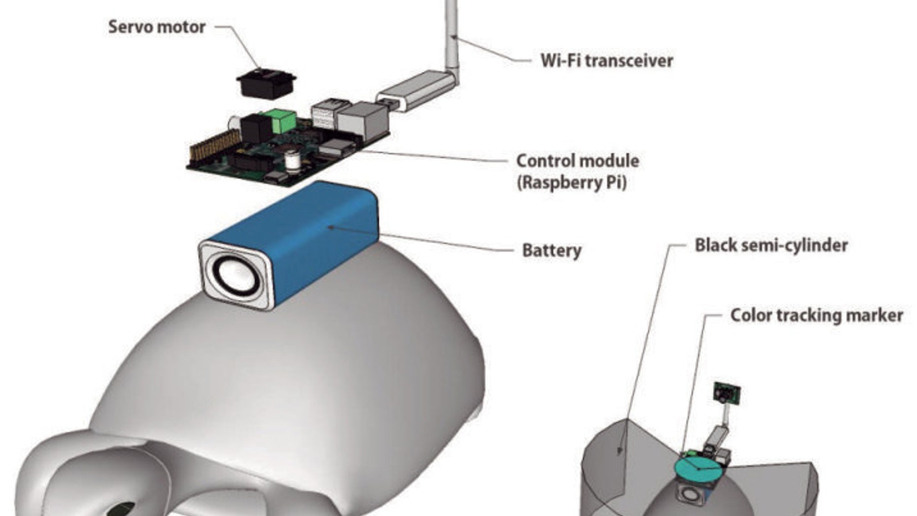 Image courtesy of the Korea Advanced Institute of Science and Technology (KAIST)