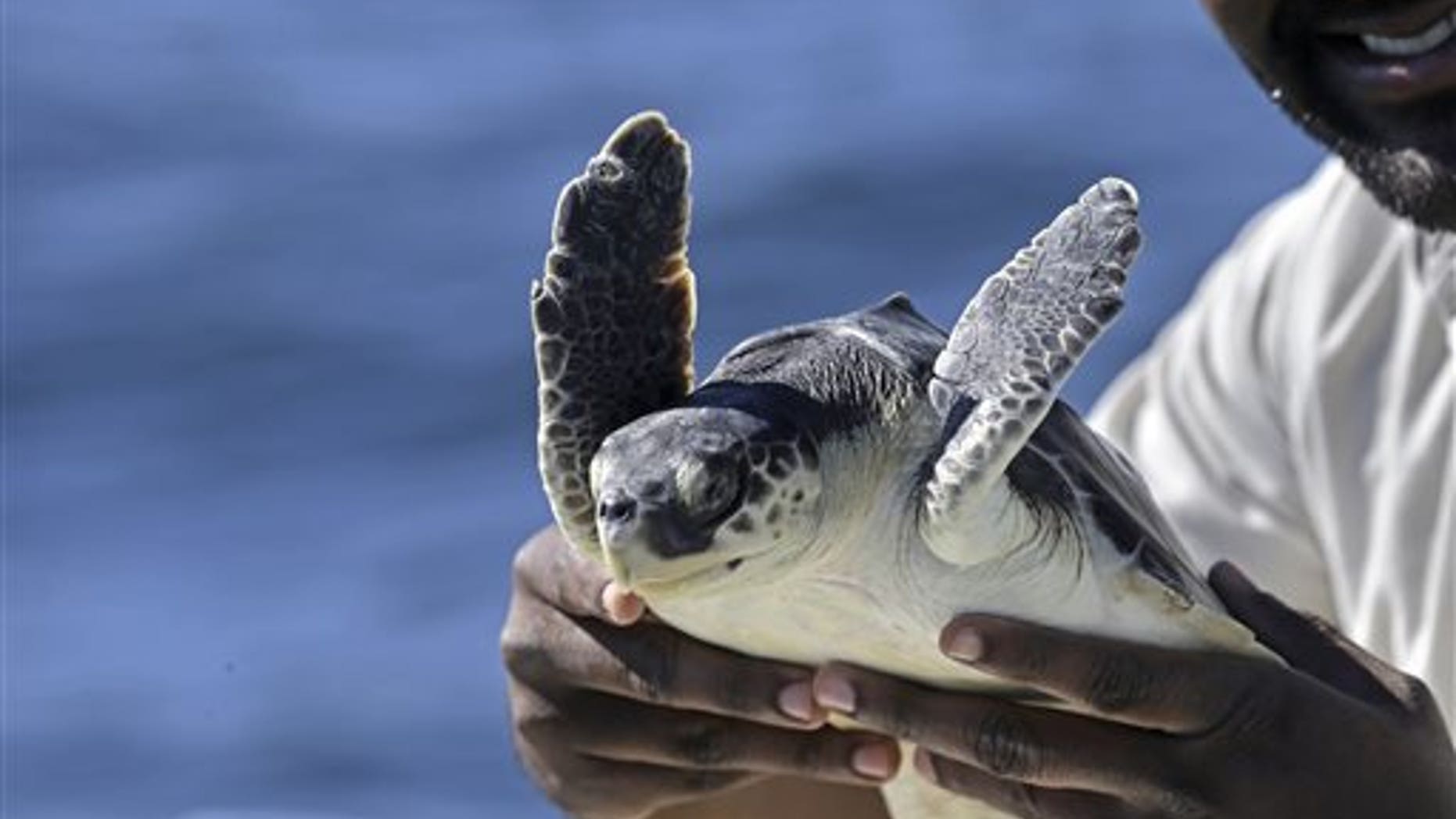 Jan. 2: Dr. Tres Clarke, a veterinarian for the Audubon Nature Institute, holds an endangered Kemp's ridley sea turtle, which was rescued in New England, and rehabilitated by the institute, as he releases it into the Gulf of Mexico, 24 miles off the coast of Louisiana.