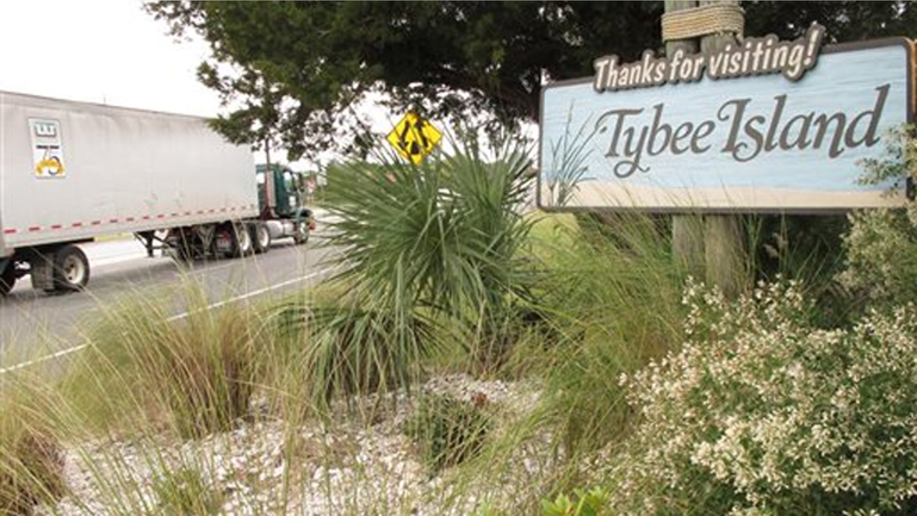 Tybee Island officials have approved installing roadside scanners that read and store license plate information for every car and truck coming and going on the island. The mayor says the city wants the information for a tourism study, but officials are already getting angry calls and emails from residents who say tracking vehicles is too intrusive.