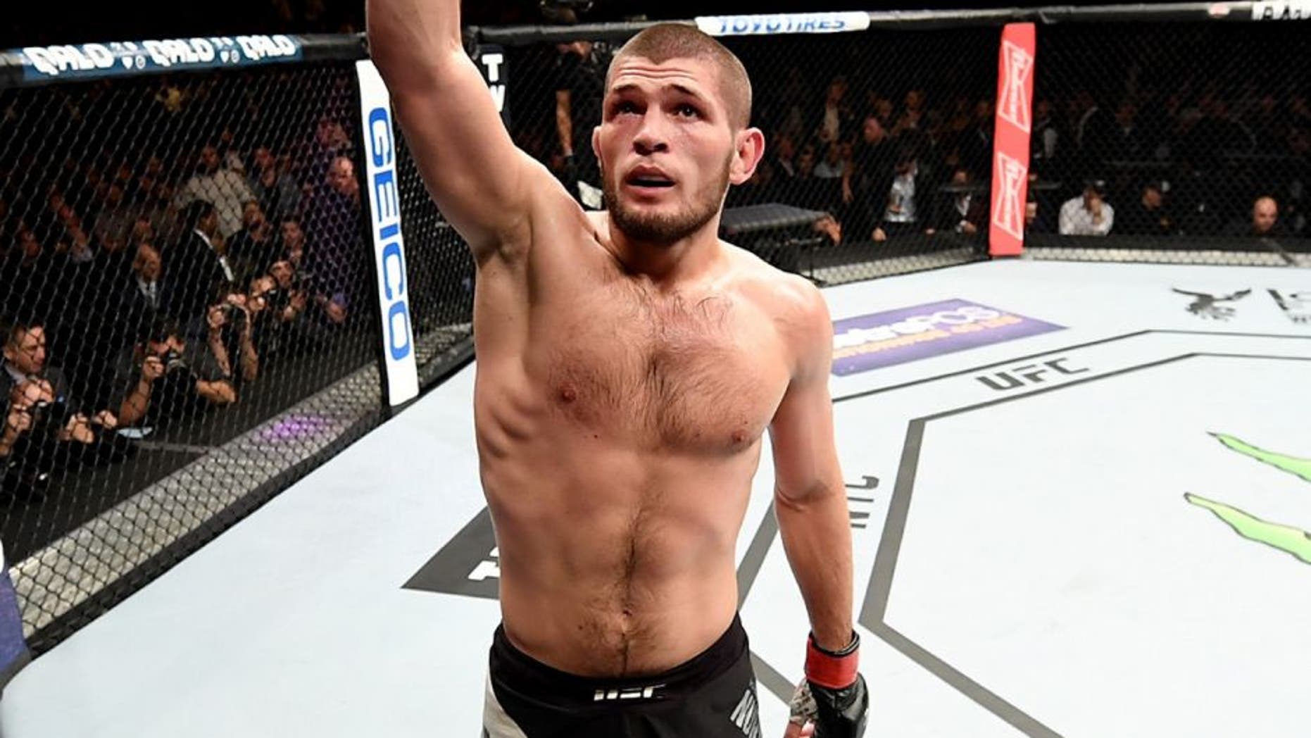 NEW YORK, NY - NOVEMBER 12: Khabib Nurmagomedov of Russia celebrates his KO victory over Michael Johnson of the United States (not pictured) in their lightweight bout during the UFC 205 event at Madison Square Garden on November 12, 2016 in New York City. (Photo by Jeff Bottari/Zuffa LLC/Zuffa LLC via Getty Images)