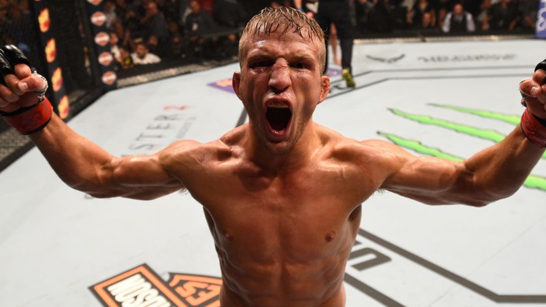 CHICAGO, IL - JULY 25: TJ Dillashaw reacts after his TKO victory over Renan Barao of Brazil in their UFC bantamweight championship bout during the UFC event at the United Center on July 25, 2015 in Chicago, Illinois. (Photo by Jeff Bottari/Zuffa LLC/Zuffa LLC via Getty Images)