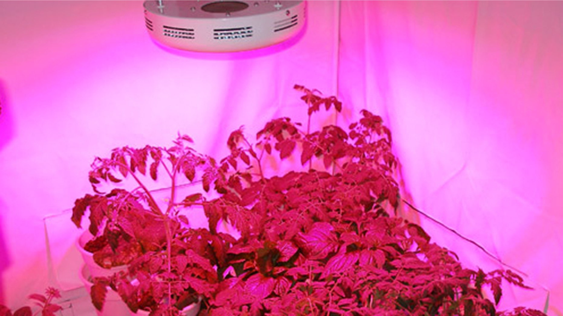 Sunshine Systems GrowUFO LED Lamp