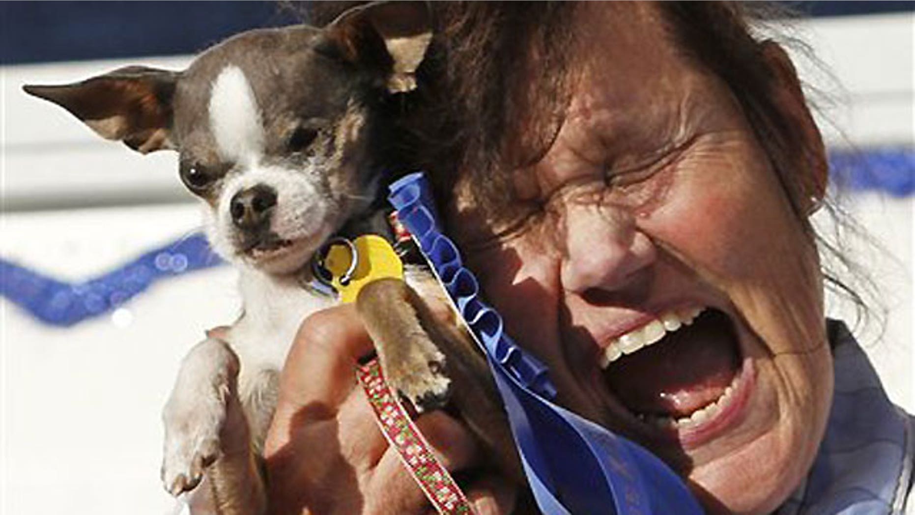 June 25: Kathleen Francis clutches her purebred Chihuahua "Princess Abby" after winning the World's Ugliest Dog Contest in Petaluma, Calif.