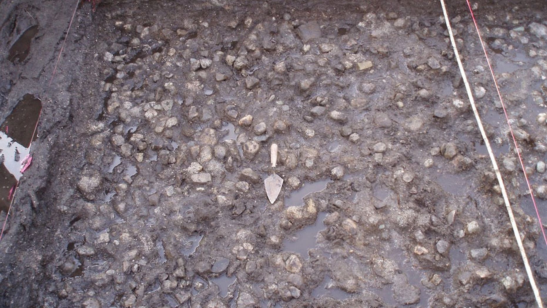 Submerged rock pavement (shown here) would have allowed the indigenous people to control how far their tubers grew, making for easier harvesting. (Credit: Katzie Development Limited Partnership)