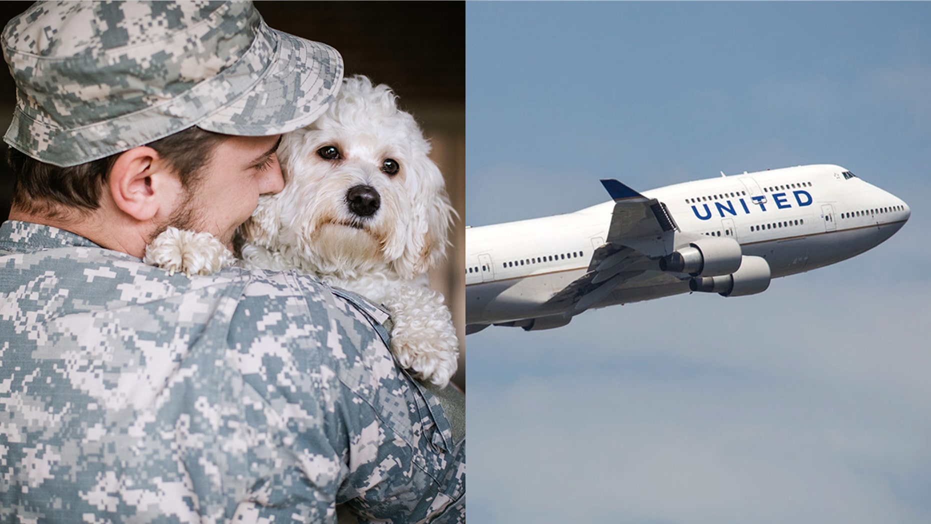 United is making an exception to its PetSafe travel program for military animals.