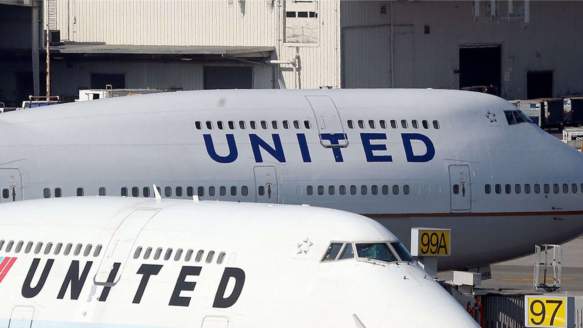 Liz Meagher Cooper said that a female employee for the airline gave her two options: The public restroom or an area set up for pets to relieve themselves.