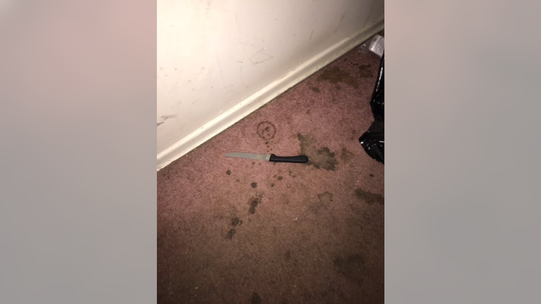 A woman in the Queens borough of New York City was fatally shot on Monday night after police allege she "lunged" at two officers with a 10-inch knife.