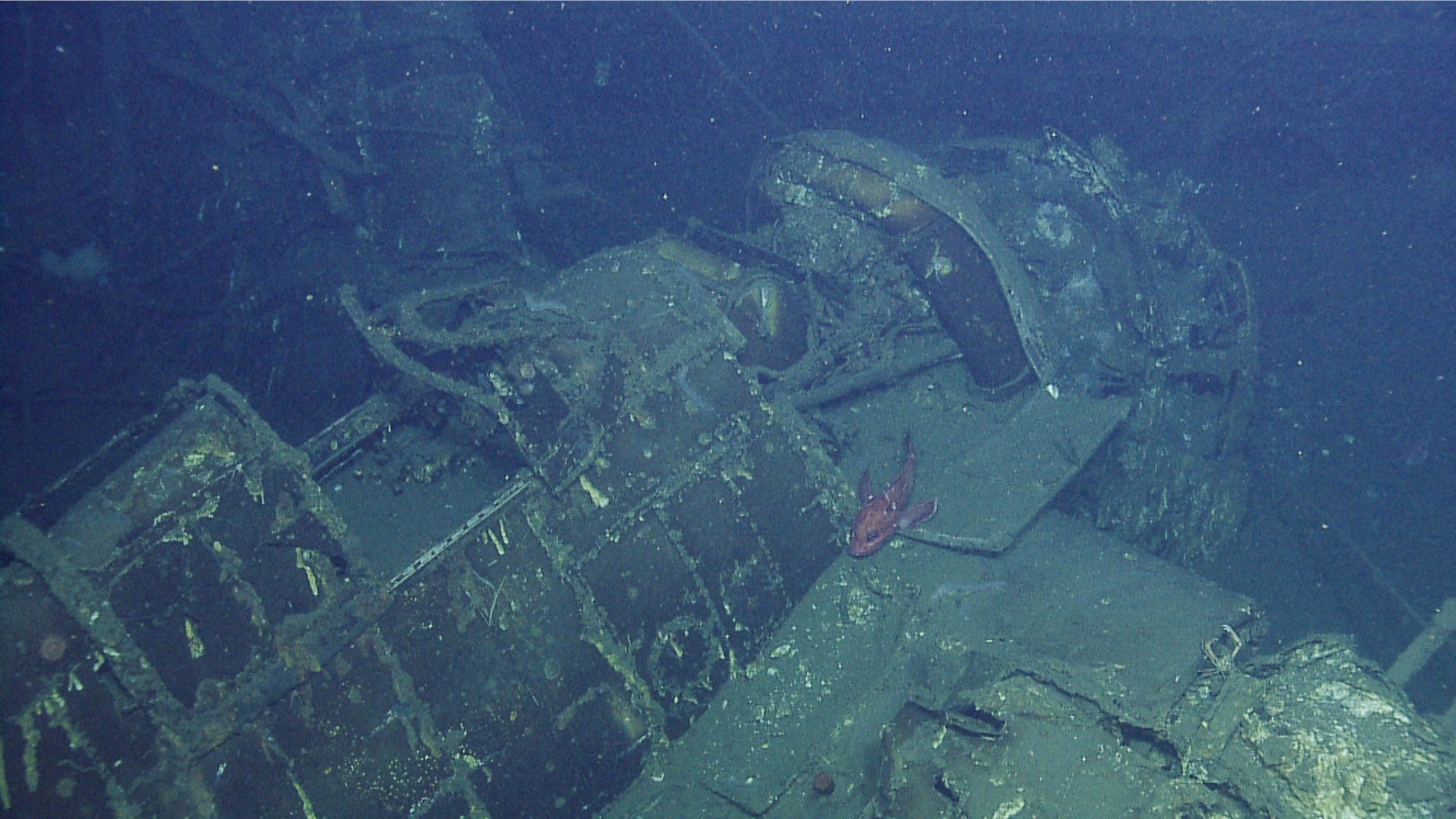 Close-up on canopy of Grumman Hellcat fighter aircraft seen in USS Independence aircraft elevator hatch (OET/Nautilus Live).