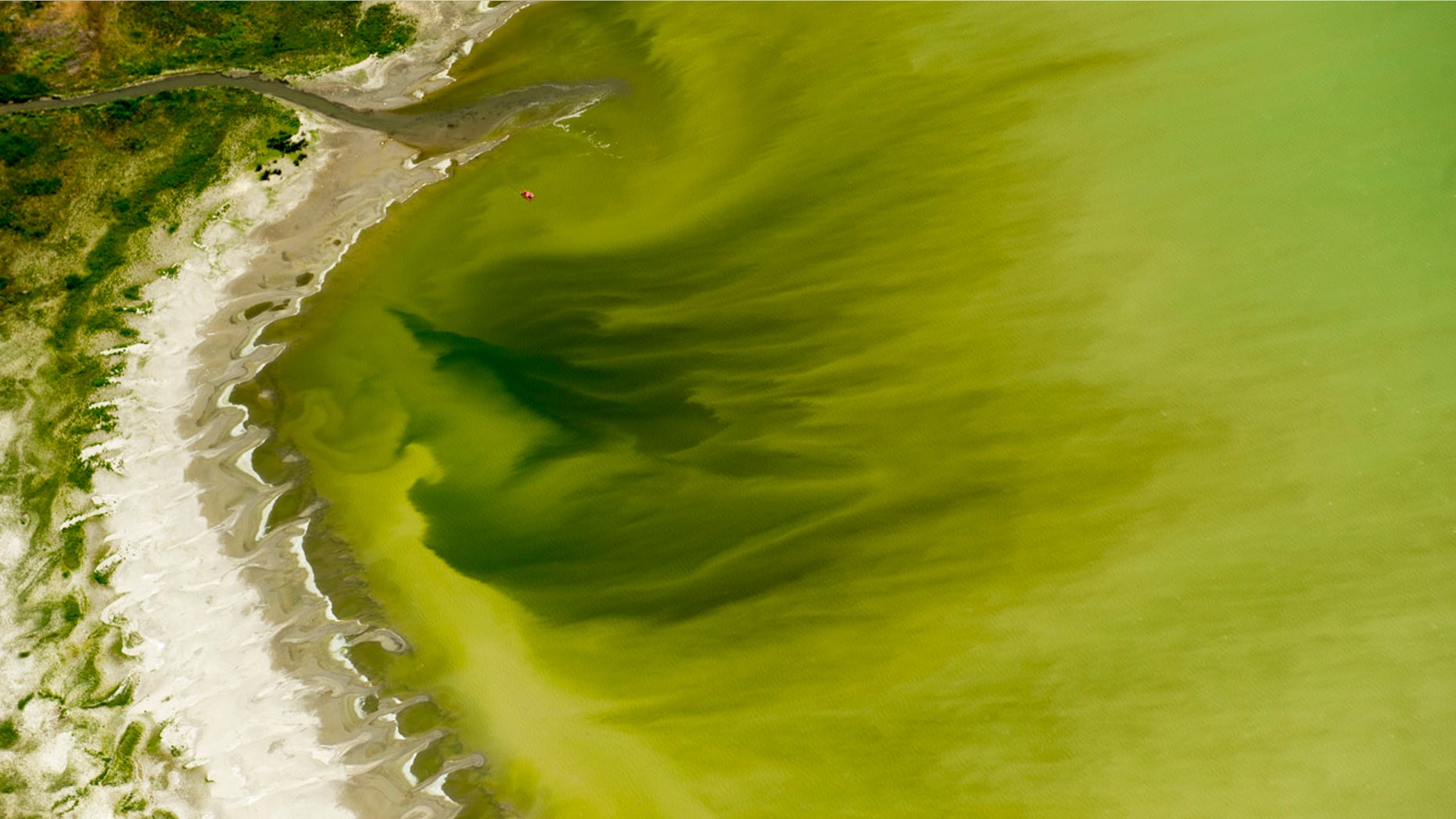 July 14, 2016: This photo shows discolored water caused by an algae bloom near the Lindon Marina in Utah Lake in Lindon, Utah.