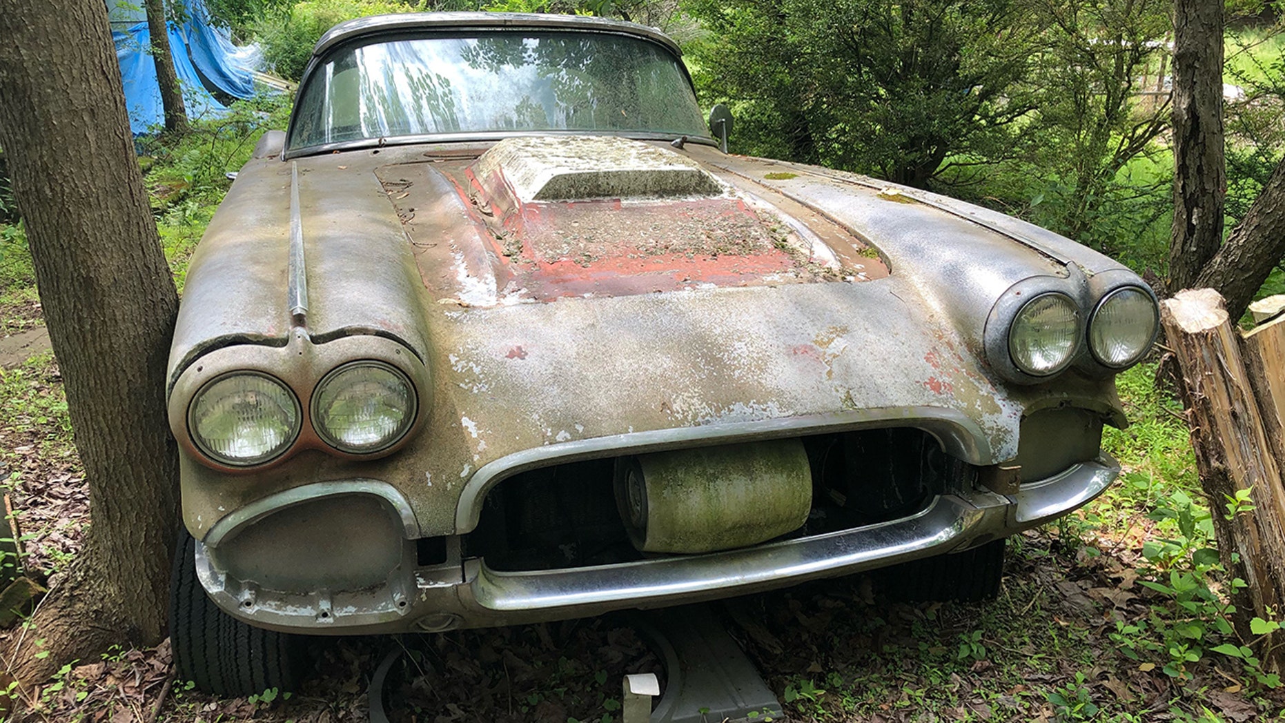 Mosscovered 1961 Chevy Corvette on Craigslist is oneofakind green