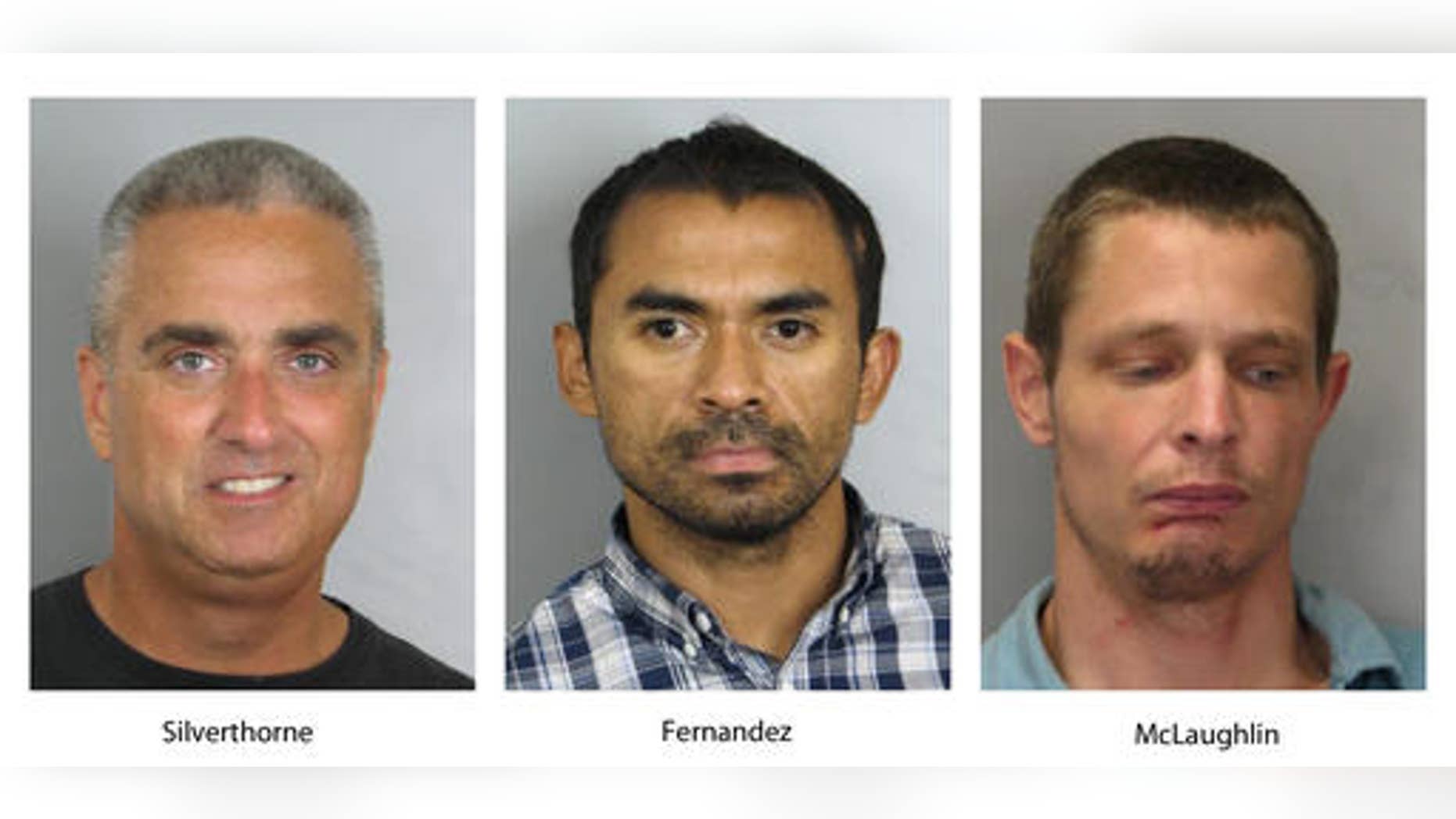 These booking photos provided by the Fairfax County, Va., Police Department show, from left, City of Fairfax, Va. Mayor Richard âScottâ Silverthorne, Juan Jose Fernandez, 34, and Caustin Lee McLaughlin, 21, both of Maryland.