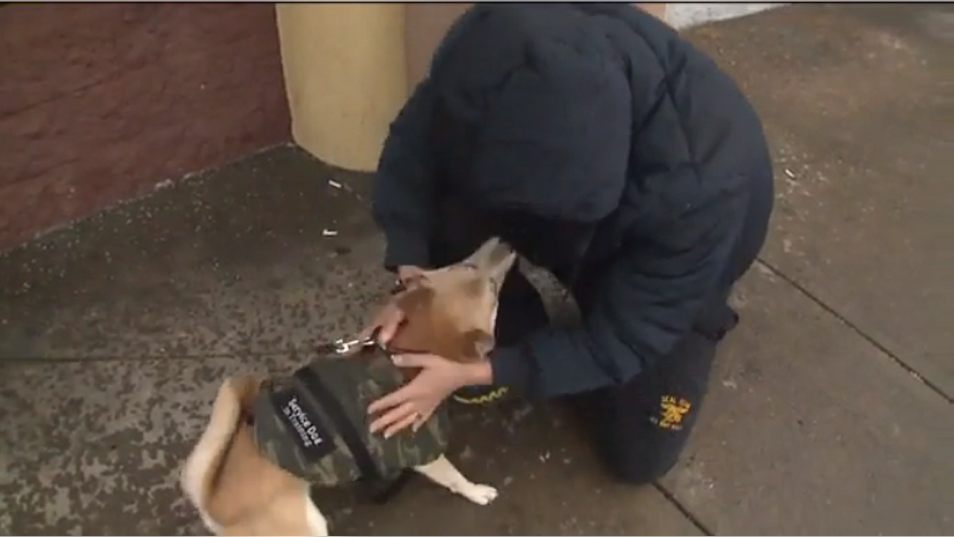Military veteran Levi Roybal was reunited with his stolen dog earlier this week.