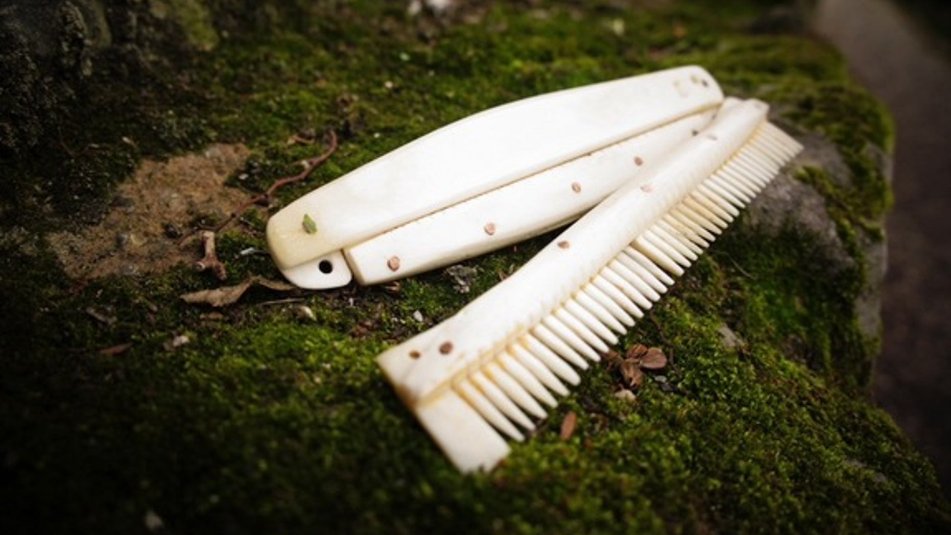 A medieval comb fashioned out of a reindeer antler.