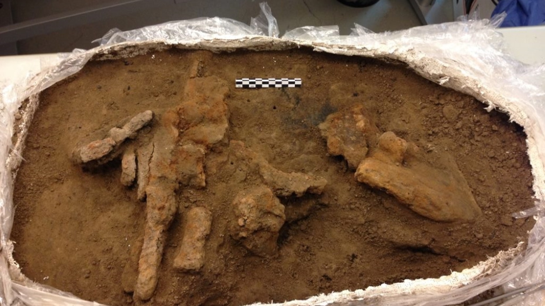 The remains of the toolbox were found in what archaeologists think was a workshop in the Viking fortress at Borgring.