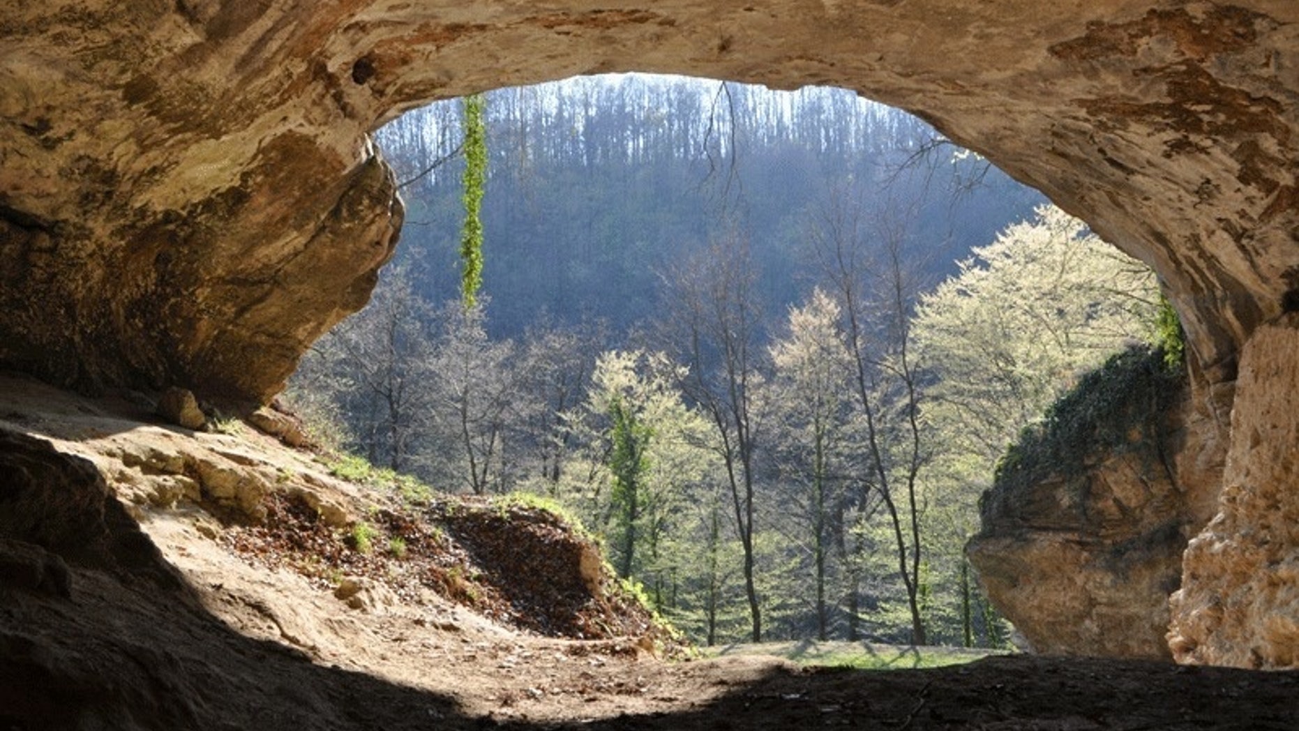 The genome of a female Neanderthal, whose bones were found in the Vindija Cave in Croatia (shown here), revealed our extinct relatives passed along genes that play roles in many diseases today.