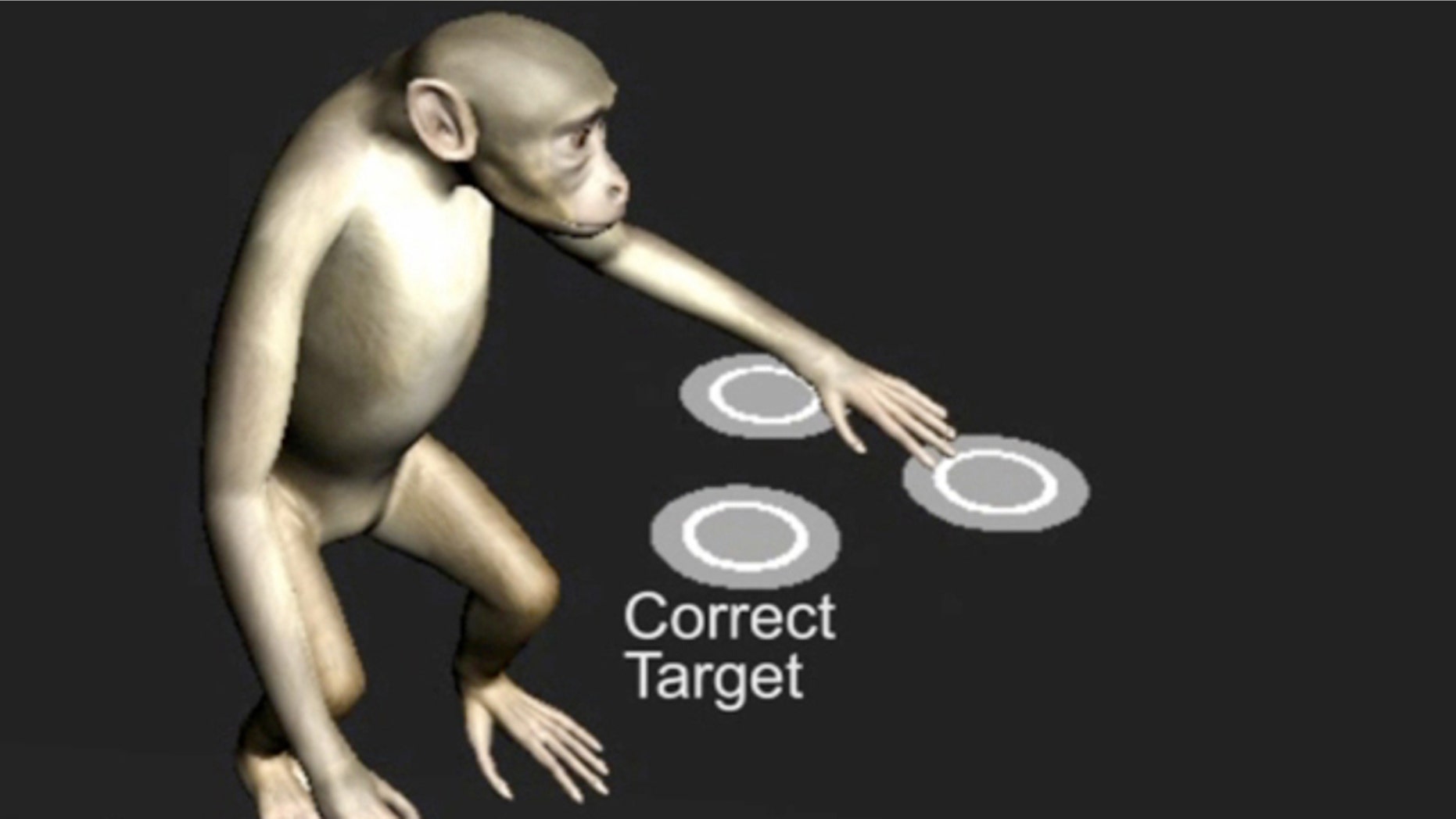 A screenshot of a virtual monkey selecting among identical objects, controlled by the monkey's brain.