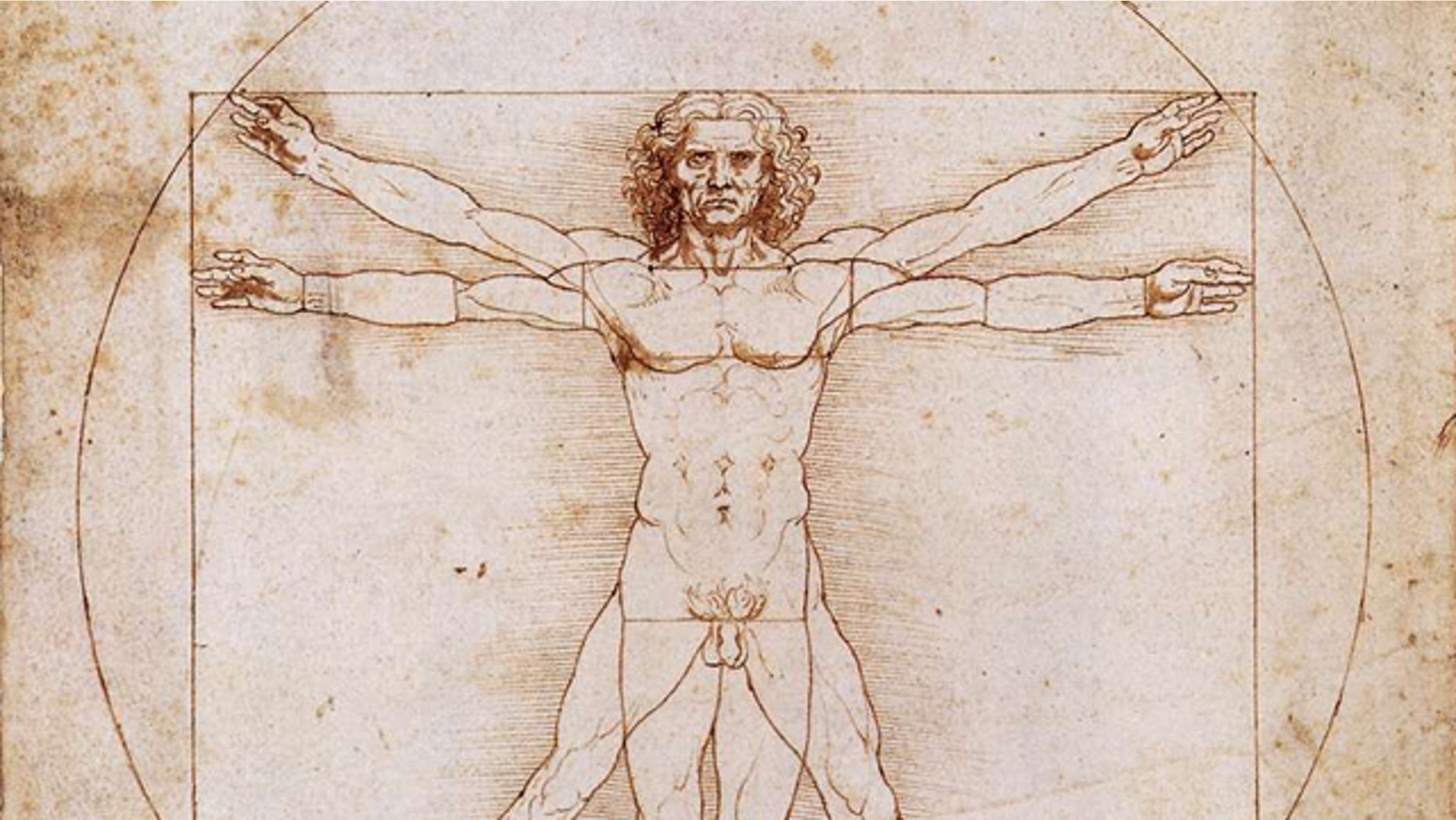 Leonardo da Vinci may have copied the Vitruvian Man Leonardo da Vinci may have copied the Vitruvian Man