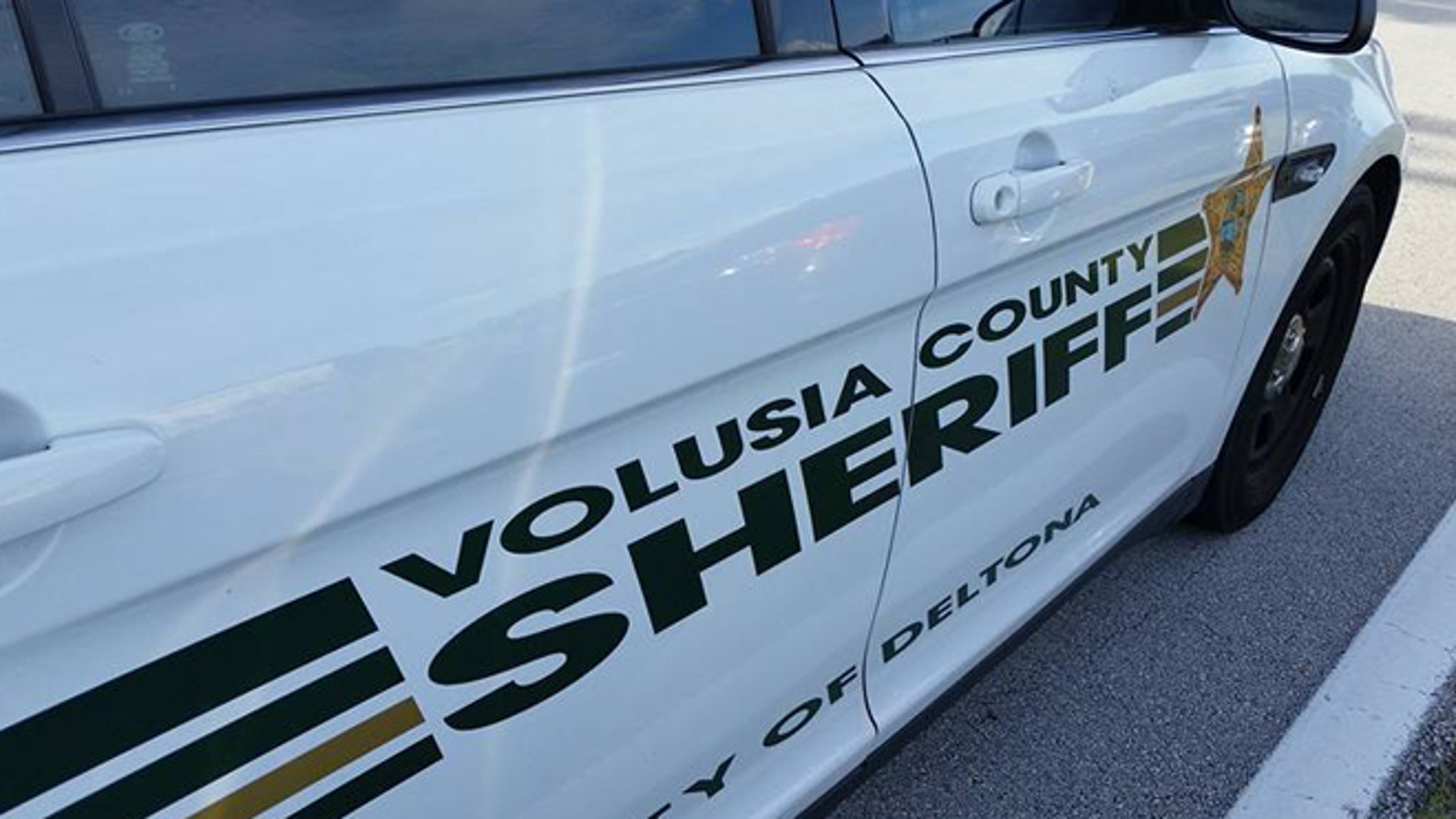 volusia county tag office