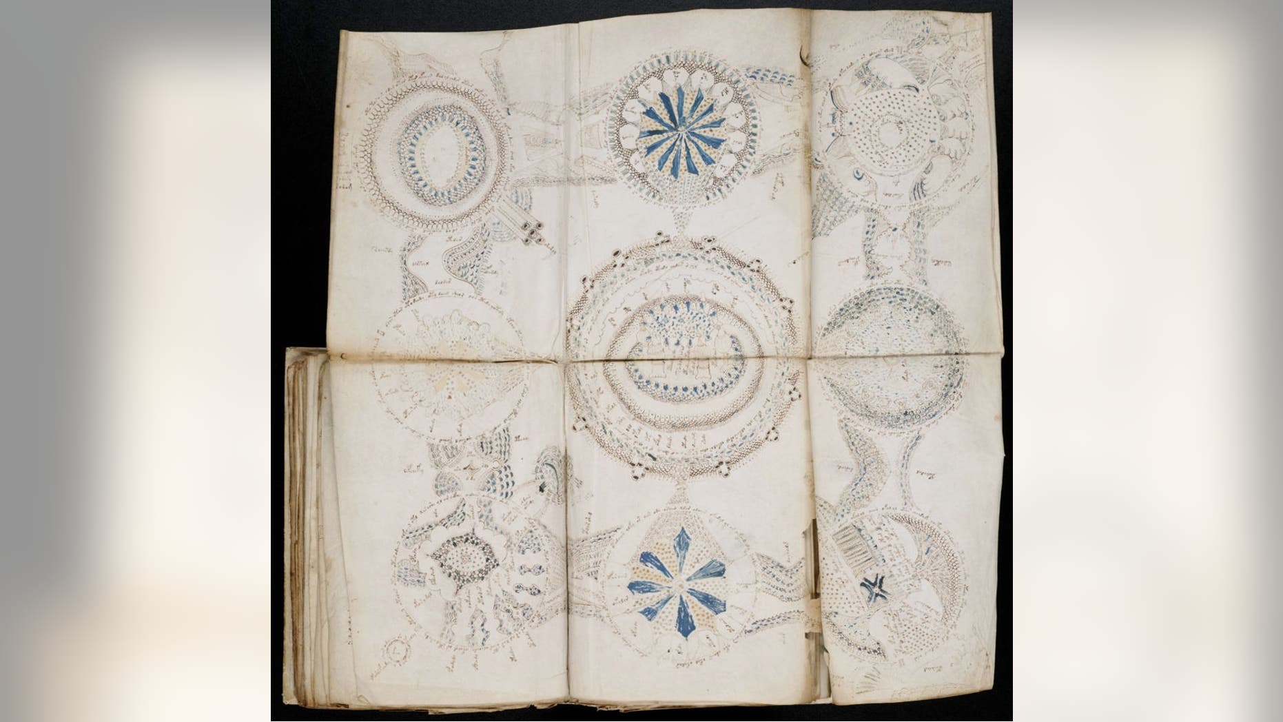 The Voynich manuscript's unintelligible writings and strange illustrations have defied every attempt at understanding their meaning. (Credit: Beinecke Rare Book and Manuscript Library, Yale University)