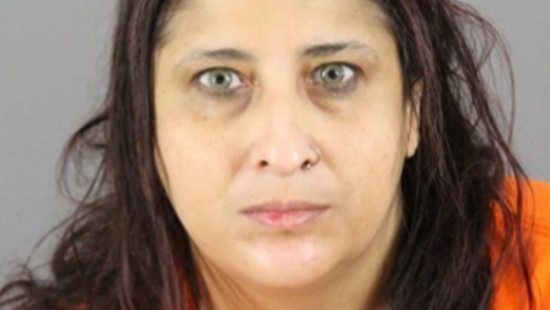 Waheba Issa Dais, 45, maintained a 'virtual library of instructions on how to make bombs, biological weapons, poisons and suicide vests to assist self-proclaimed ISIS members and supporters in their attack planning,' the Justice Department says.