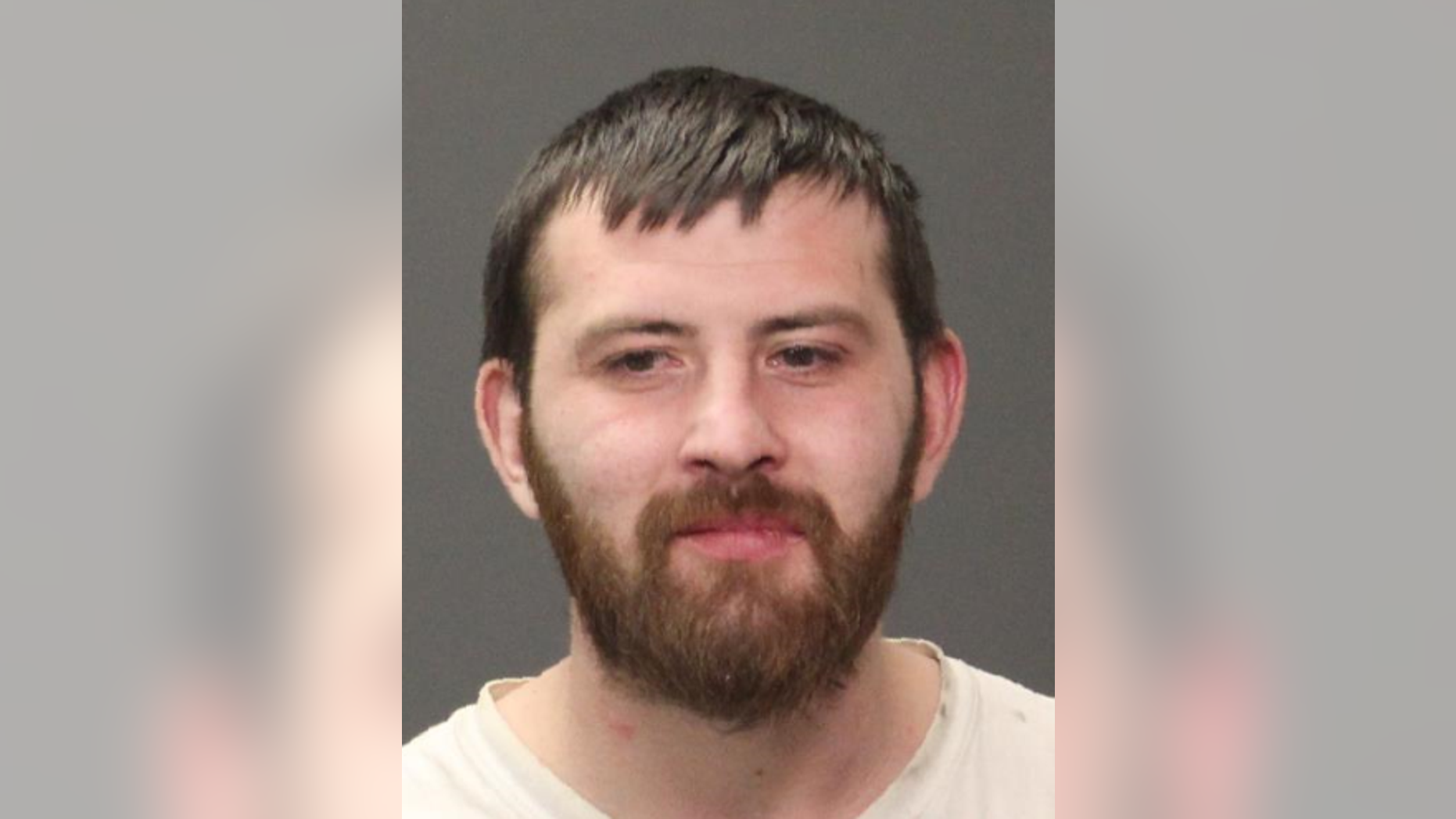Dustin Waite, 26, is accused of breaking into a New York home, peeing on a porch, resisting arrest and stealing beef jerky from a 7-Eleven.