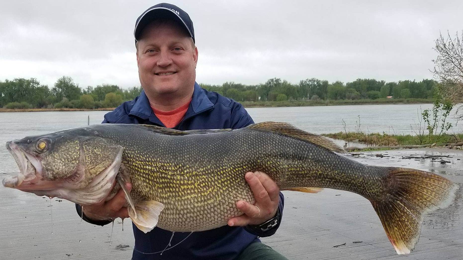 The walleye, which was about 33-inches long, broke the state record set in 1959.