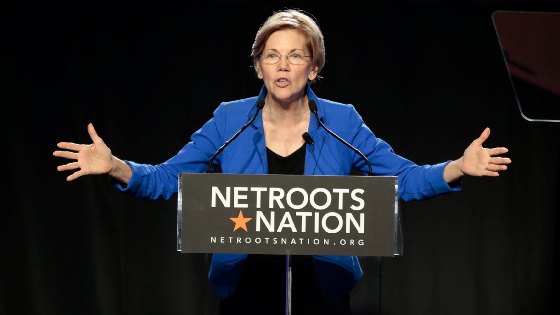 Senator Elizabeth Warren (D-MA) addresses the audience at the morning plenary session at the Netroots Nation conference for political progressives in Atlanta, Georgia, U.S. August 12, 2017.