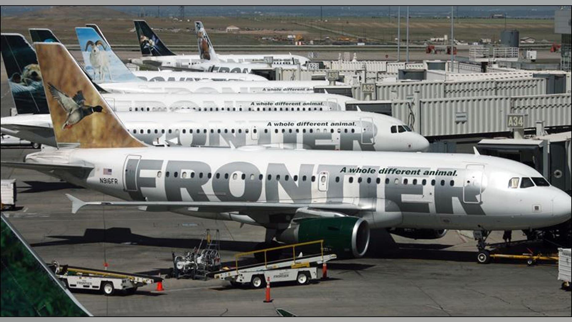 The low-cost carrier is based in Denver, Colo.