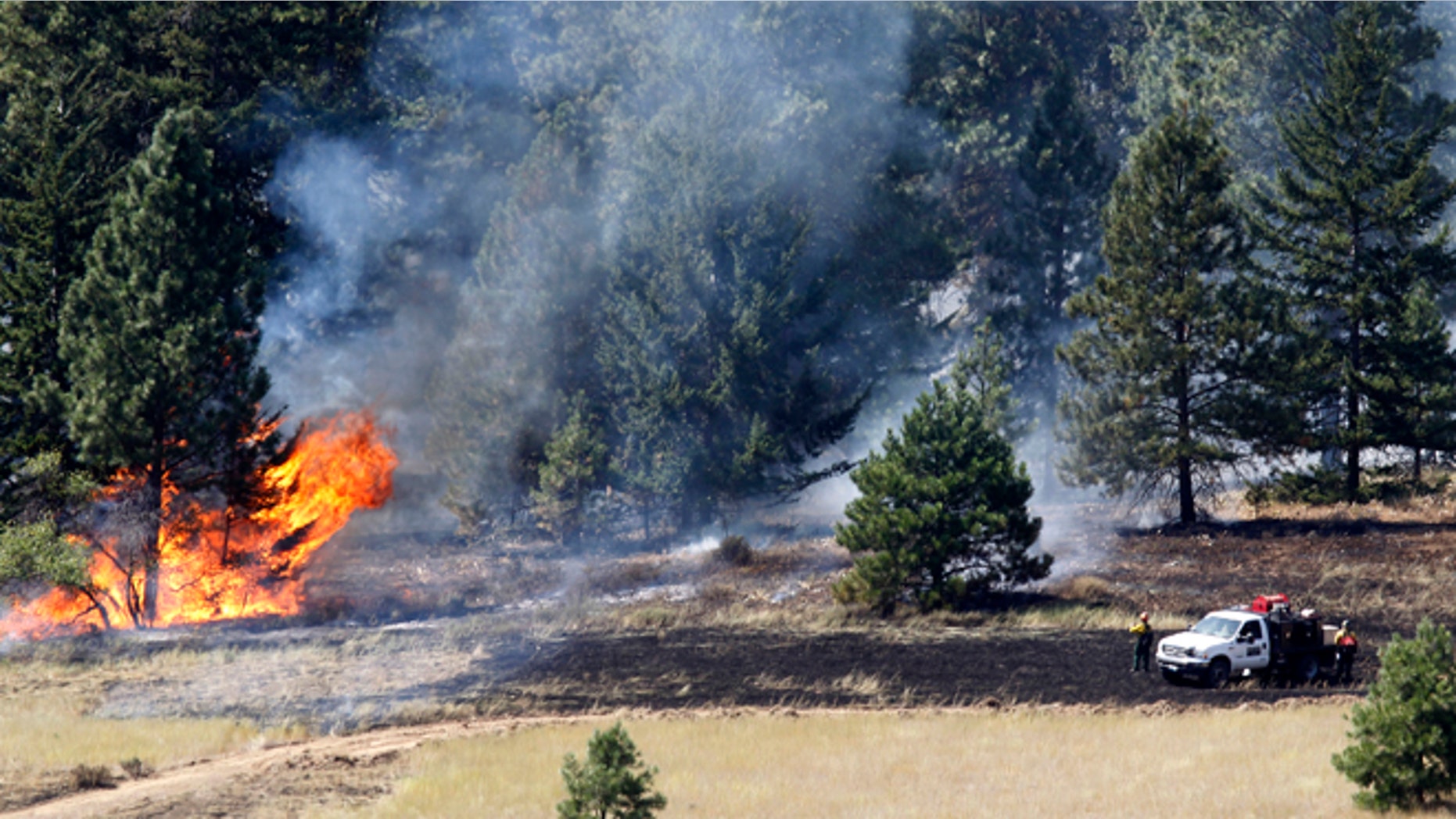 Aug. 15, 2012: Firefighters stand in view of a tree on fire, near Cle Elum, Wash. Crews fighting the large blaze in central Washington hope to increase containment levels by Wednesday evening, but are keeping a wary eye on weather conditions later in the week.