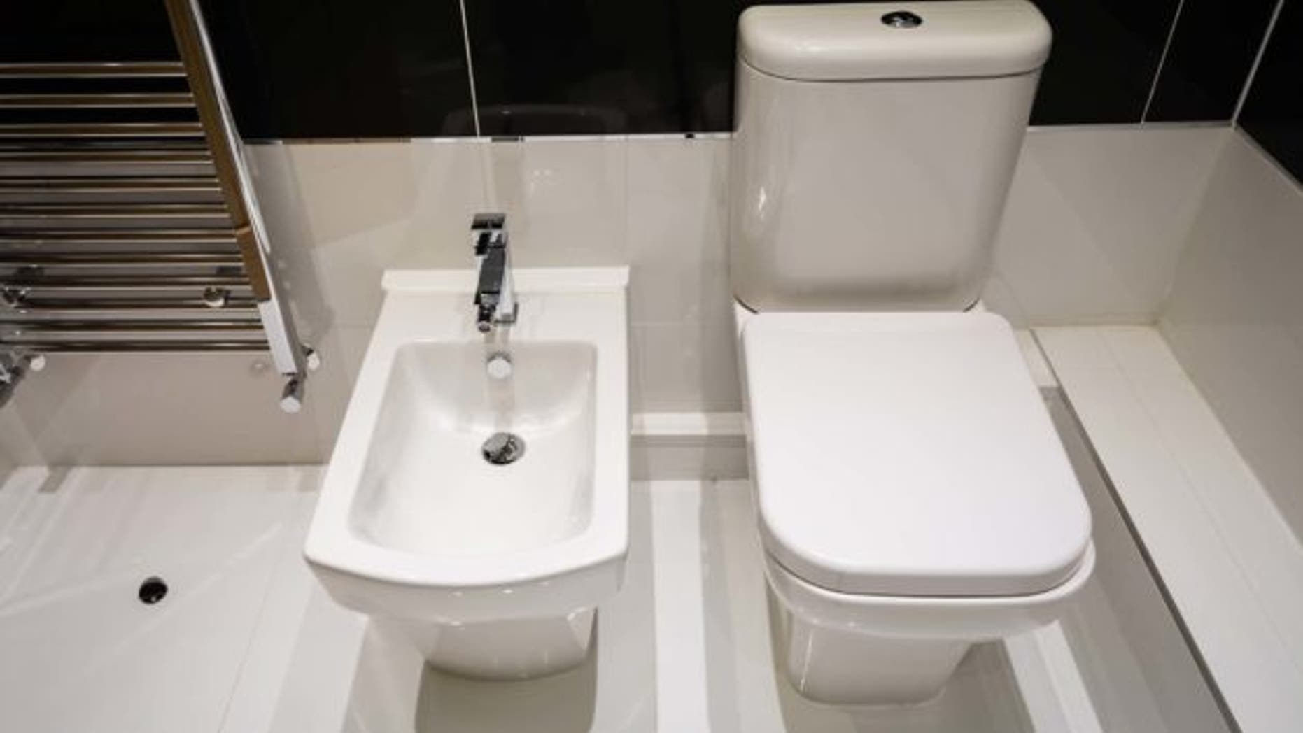 what-is-a-bidet