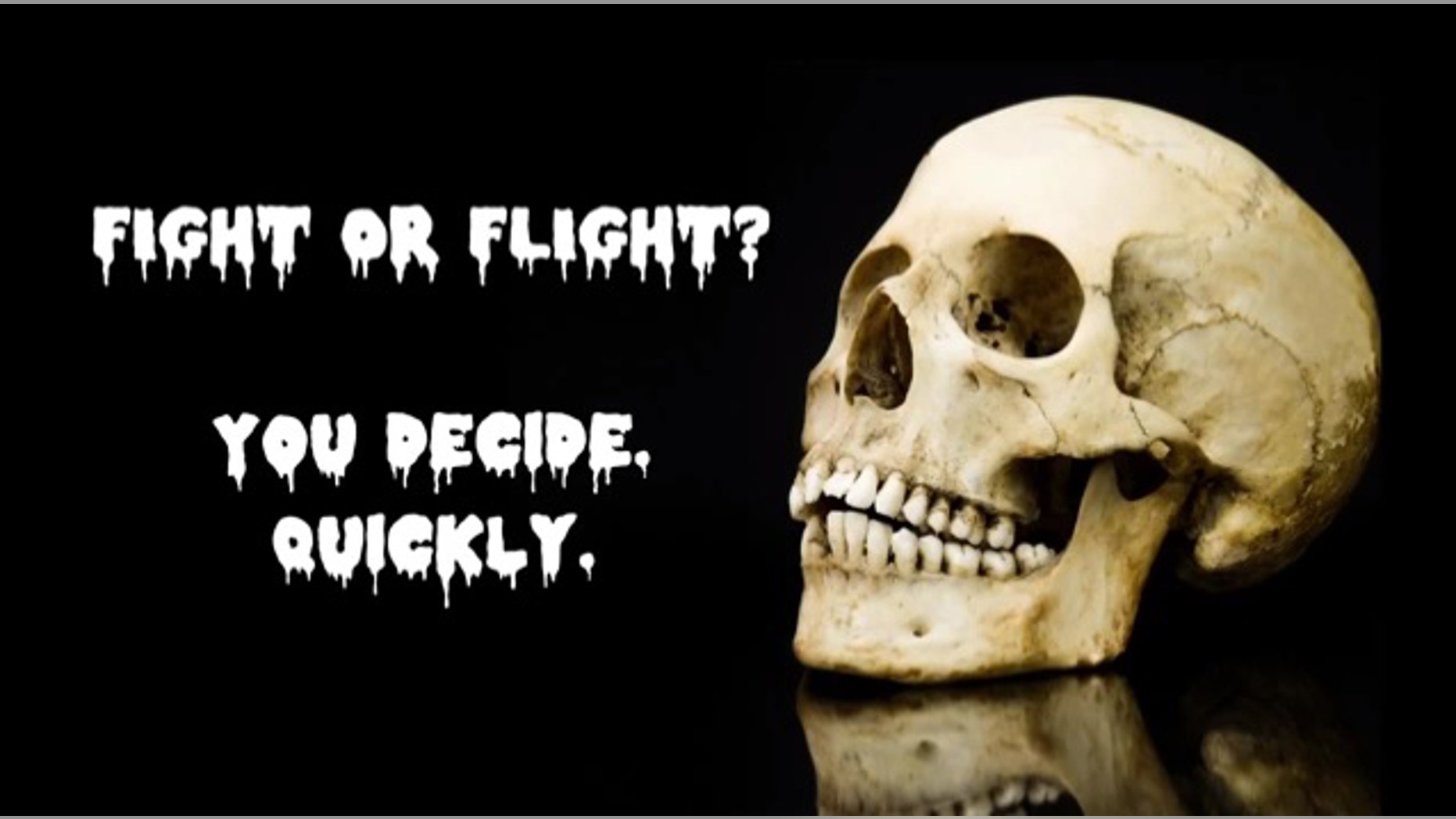 A screenshot of a video by the American Chemical Society that seeks to explain the body's chief responses to fear, and the chemistry behind the response itself.