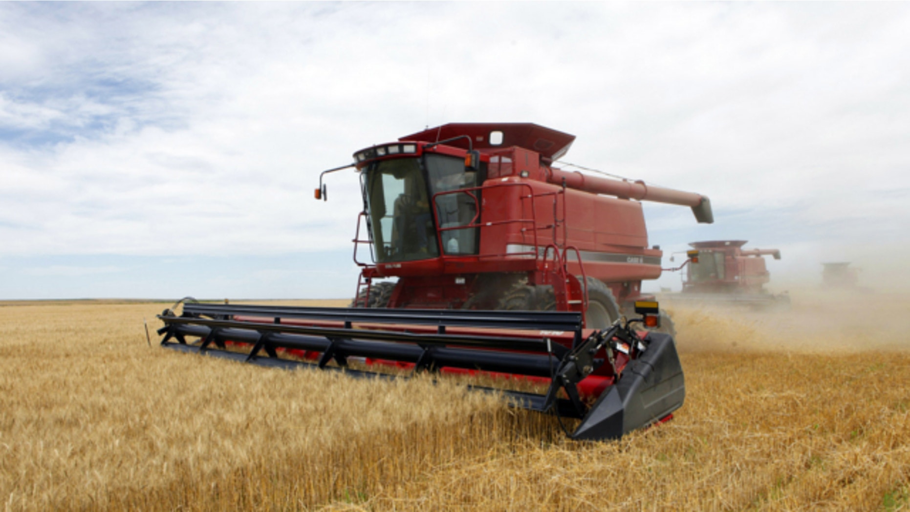 July 9, 2009: Three combines harvest the winter wheat on the Cooksey farm near Roggen, Colo.