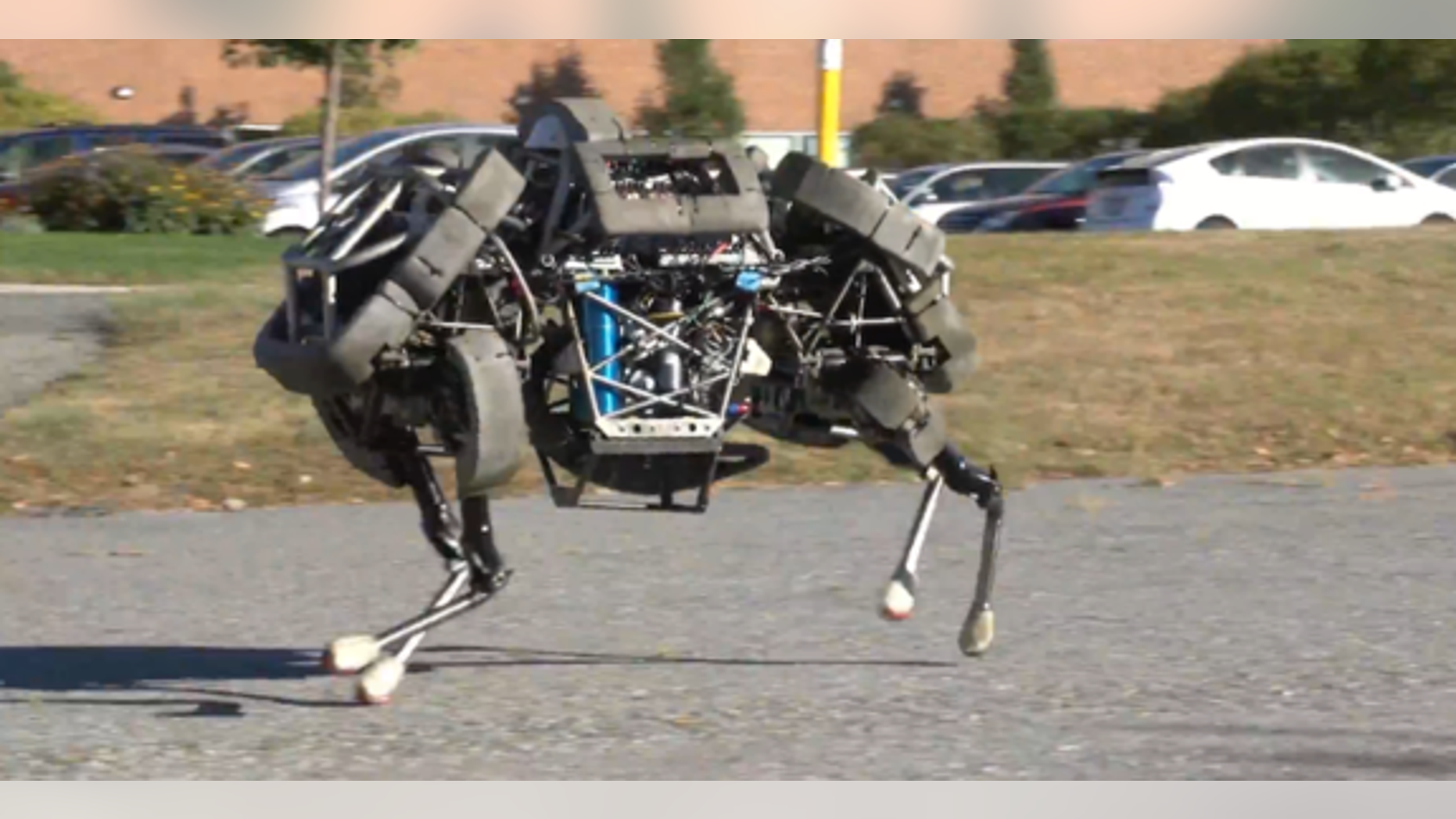 Boston Dynamics' robotic quadruped named WildCat can run up to 16 mph (25 km/h).