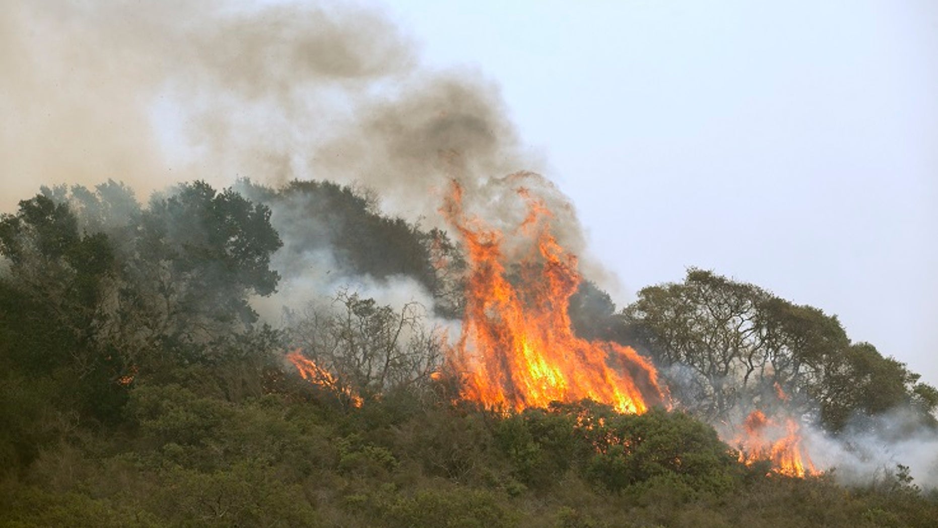 Jan Pascoe and her husband John of Santa Rosa, Calif., took shelter in their neighbor’s pool for six hours to avoid the deadly wildfires burning in the area on Sunday.