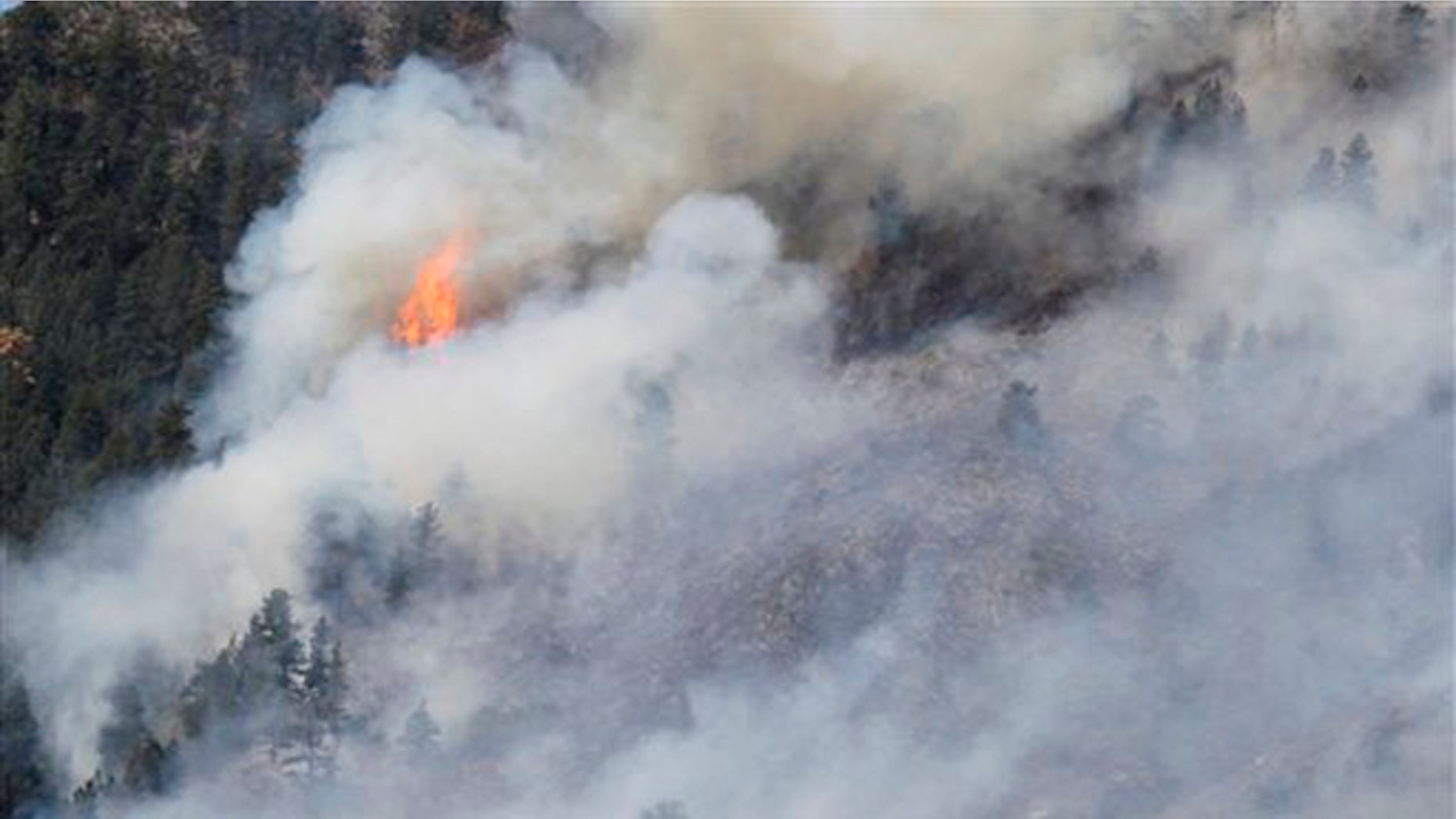 June 11, 2012: Fire burns through trees on the High Park wildfire near Fort Collins, Colo.