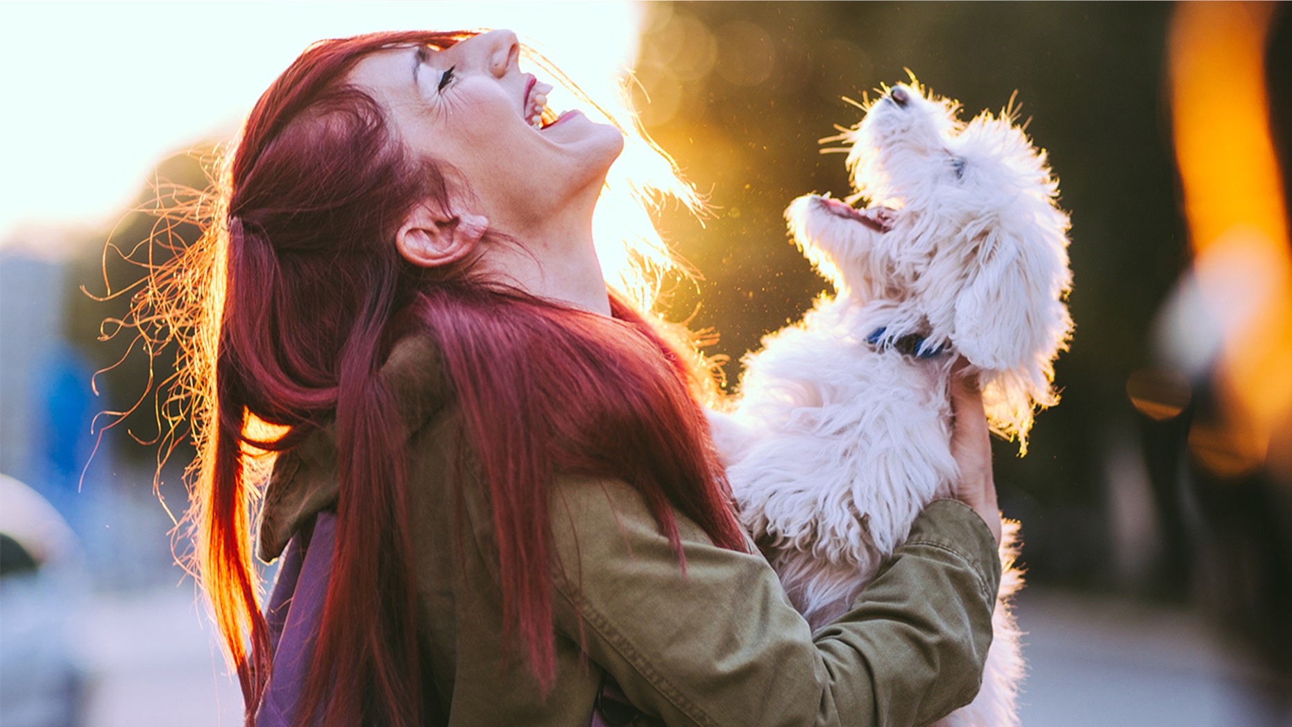 A viral Tweet suggests people get hair inspiration from their dogs