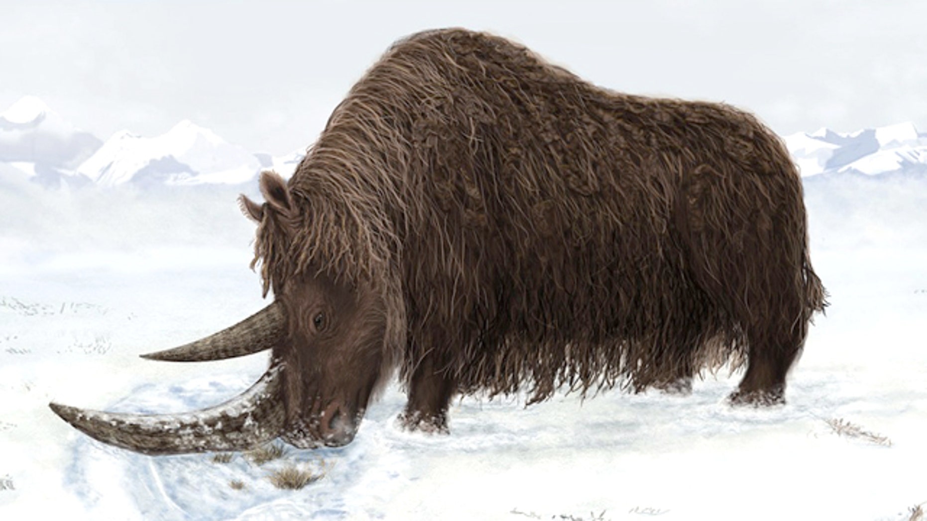 Мамонт рино. Шерстистый носорог ледникового периода. Древний шерстистый носорог. Шерстистый носорог и мамонт. Шерстистый носорог вымершие животные.