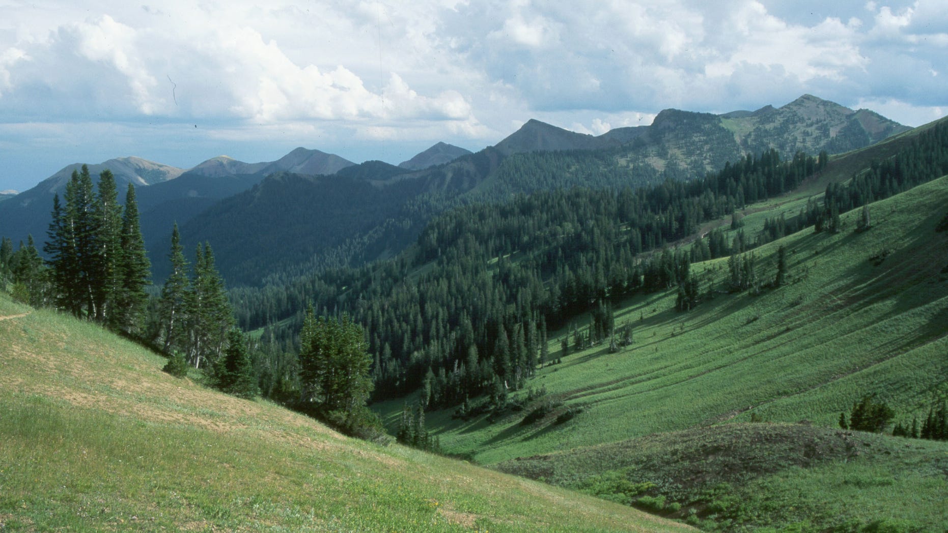 In this 1999 photograph, the Wyoming Range is seen. The state's largest roadless area had been targeted for oil and gas leasing, but those efforts were withdrawn due to Congressional action. (Courtesy: Biodiversity Conservation Alliance)