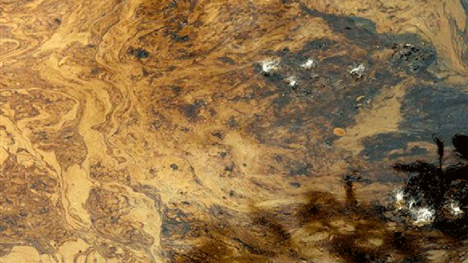 July 11: Oil swirls in a small eddy in a back channel of the Yellowstone River.