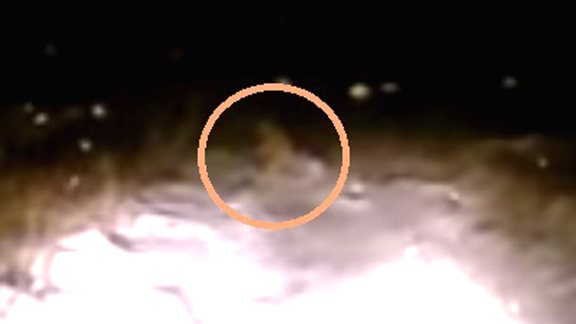 (Screenshot from video)